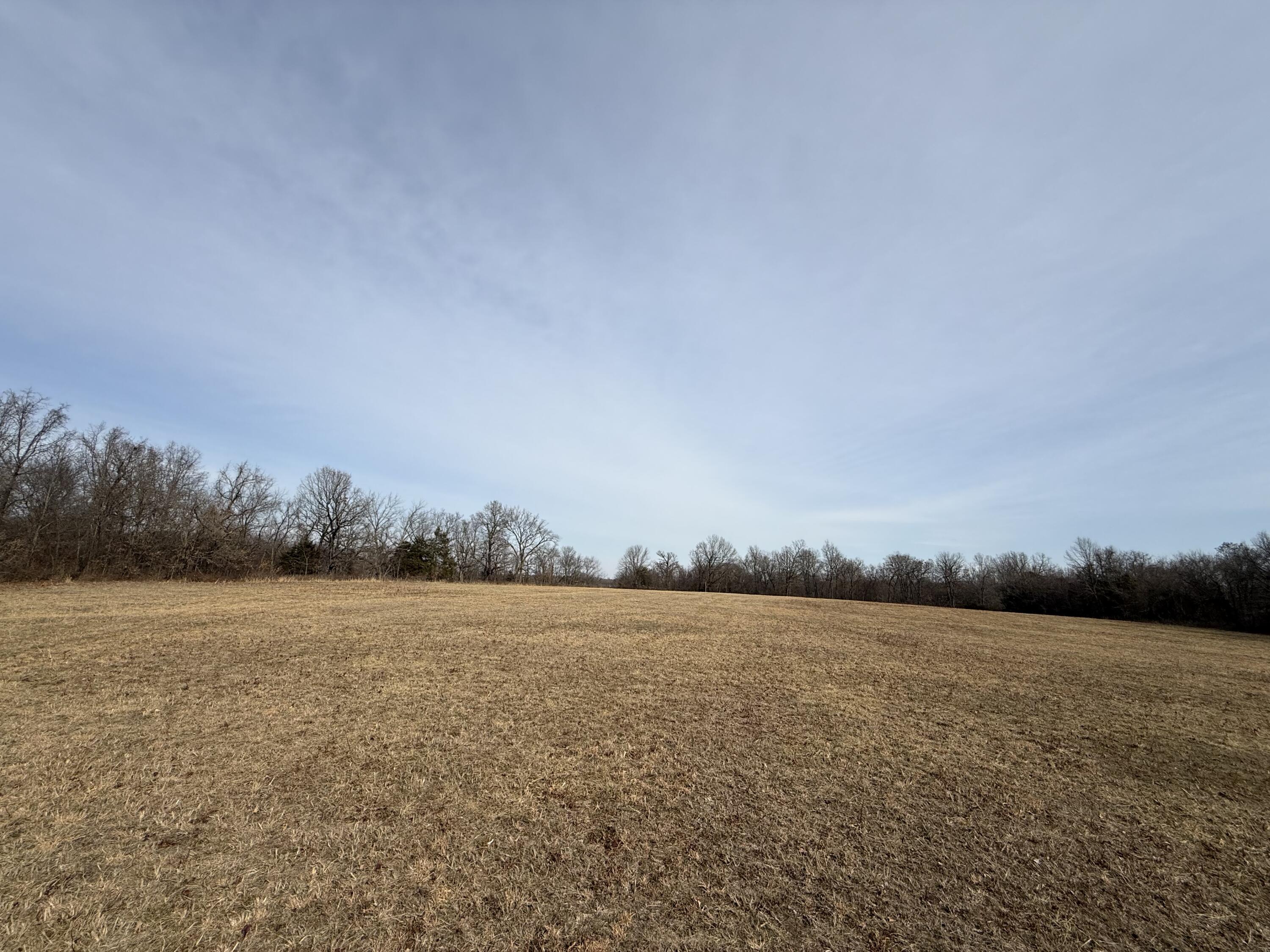 Photo 4 - Land for sale – 000  Beaver Road  Stella, MO