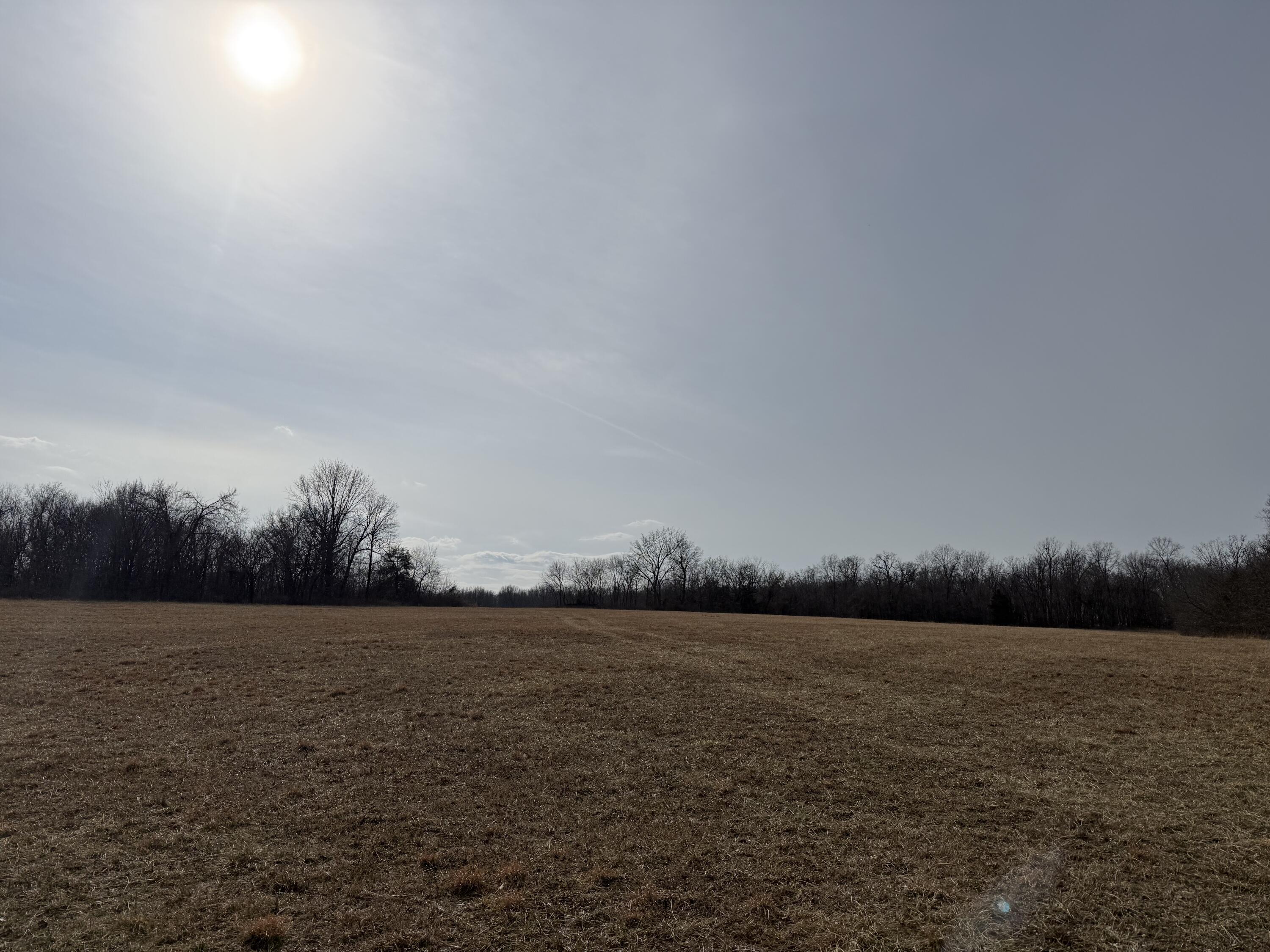 Land for sale – 000 Beaver Road Stella, MO
