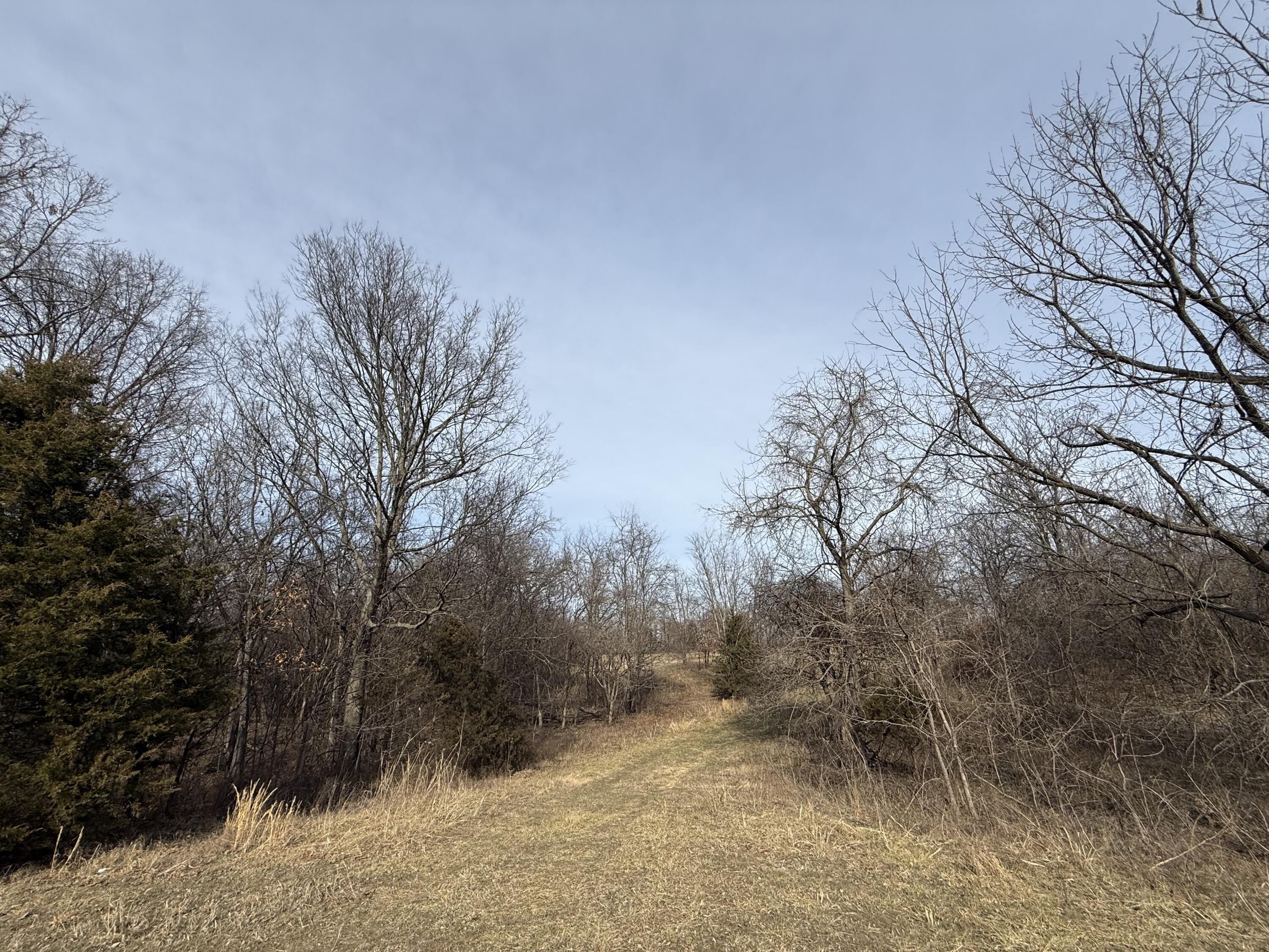 Photo 7 - Land for sale – 000  Beaver Road  Stella, MO