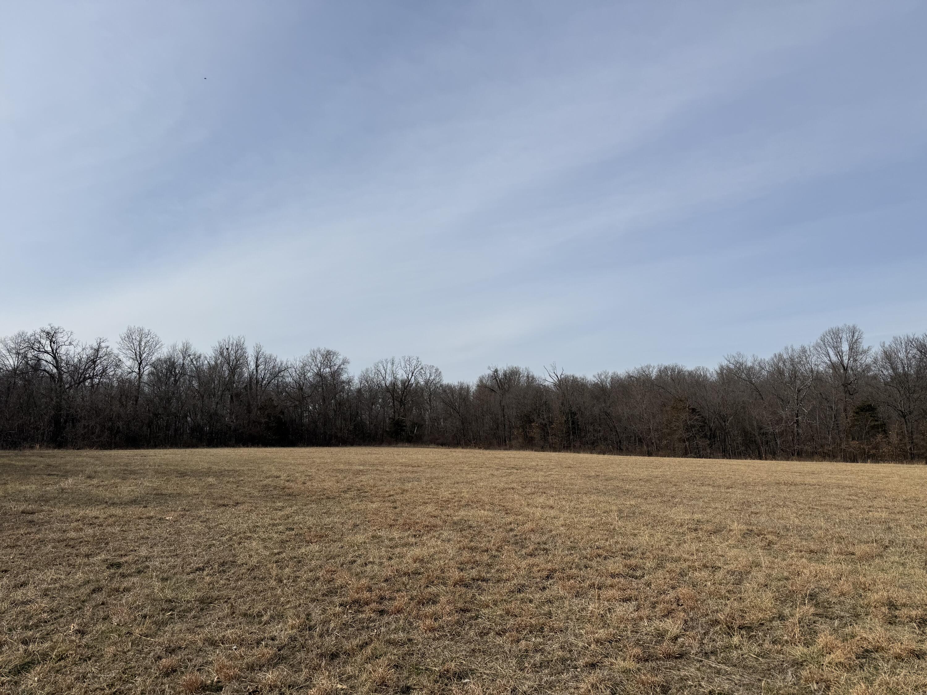 Photo 3 - Land for sale – 000  Beaver Road  Stella, MO