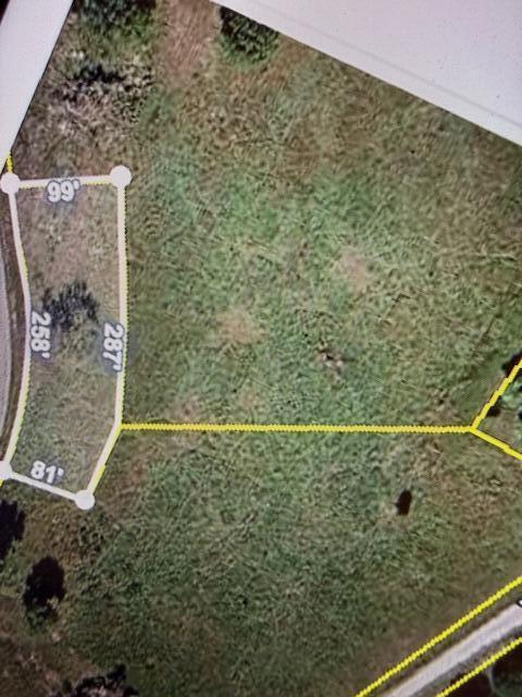 Photo 2 - Land for sale – Lots31/32  Bear Den Cove   Galena, MO