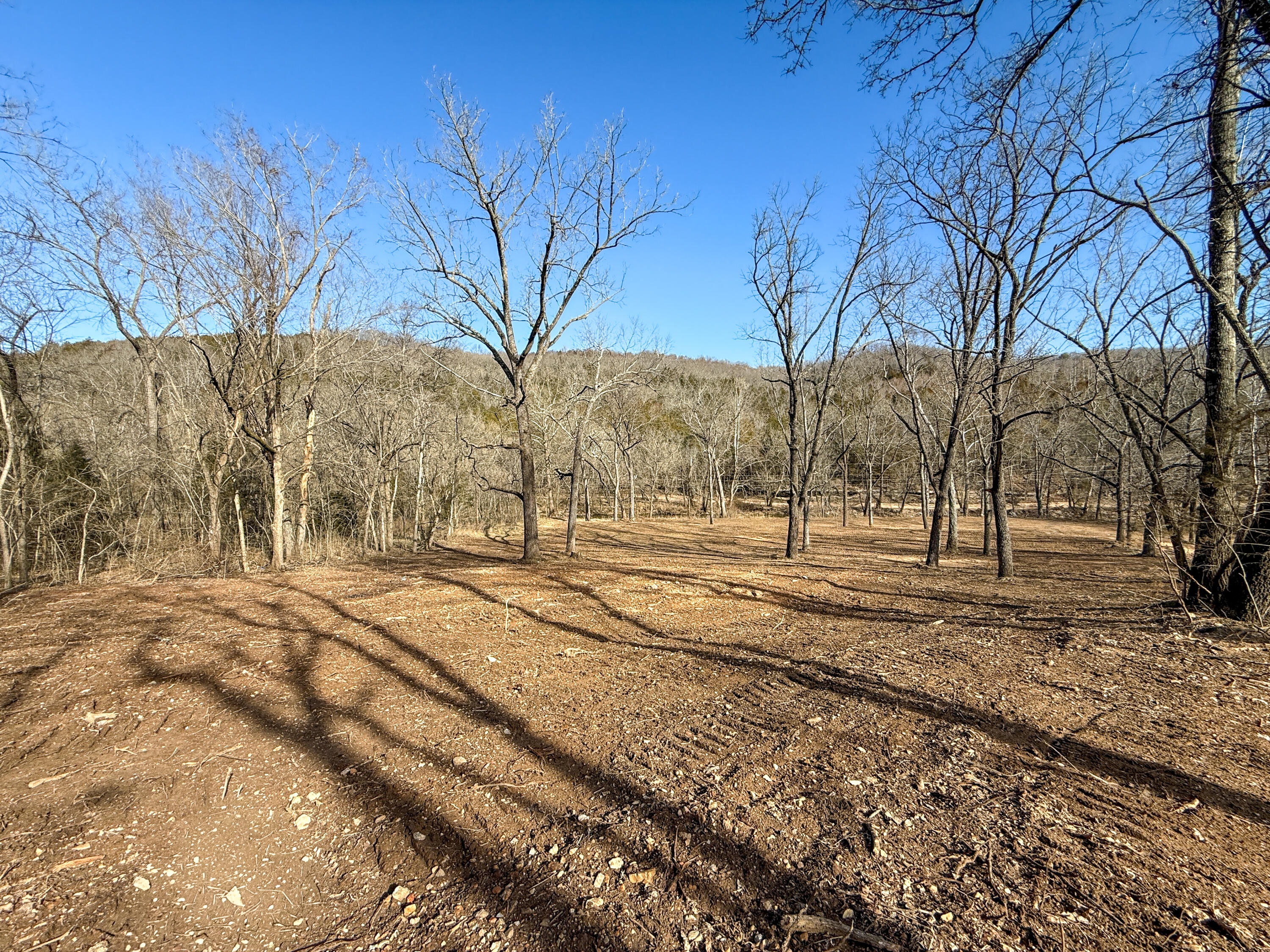 Photo 6 - Land for sale – 13749 W Enon Road  Omaha, AR