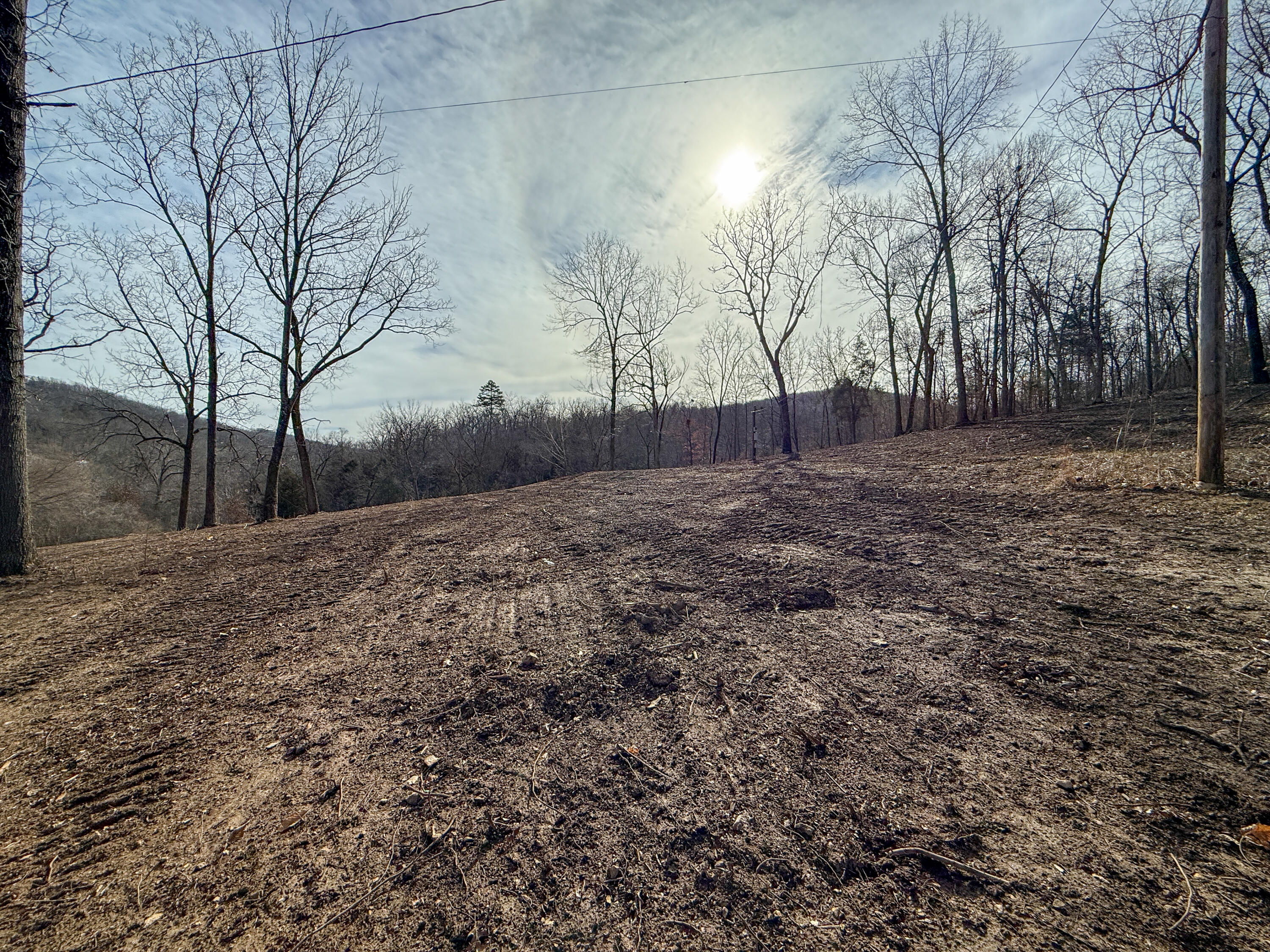 Photo 4 - Land for sale – 13749 W Enon Road  Omaha, AR