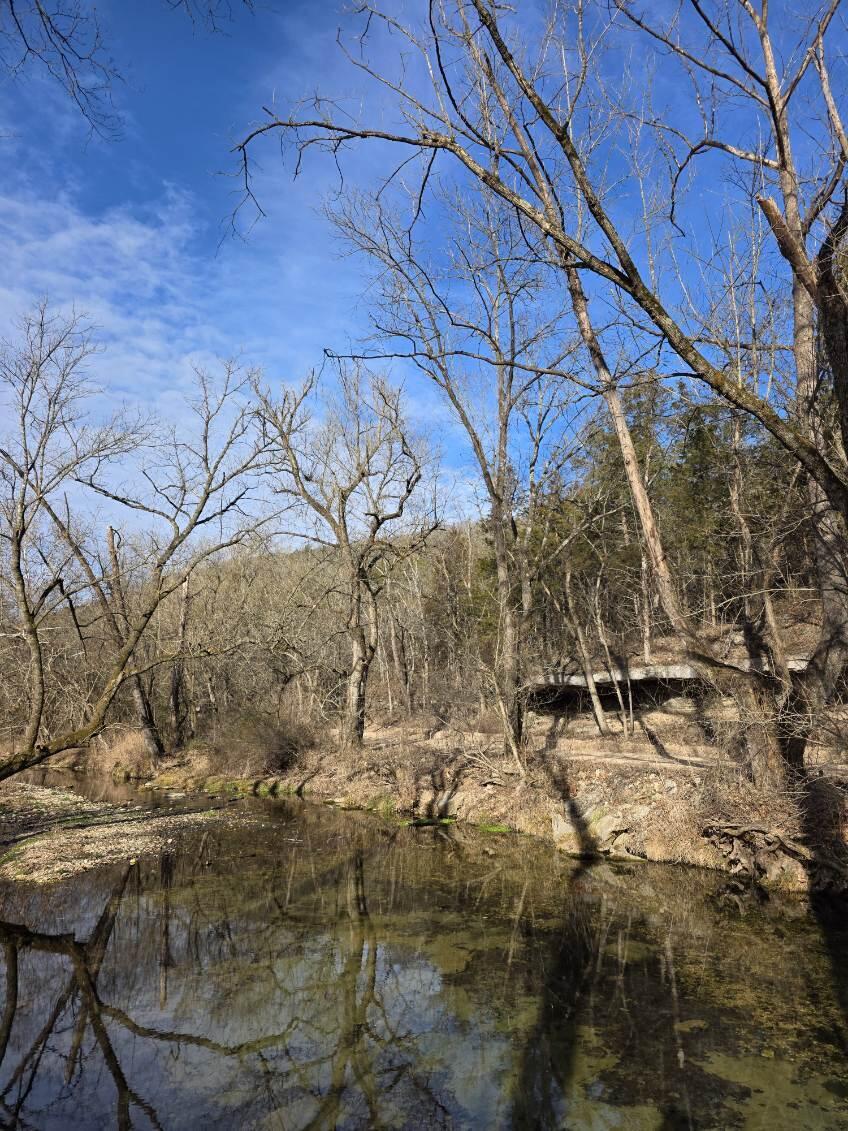 Photo 5 - Land for sale – Tbd W Enon Road  Omaha, AR
