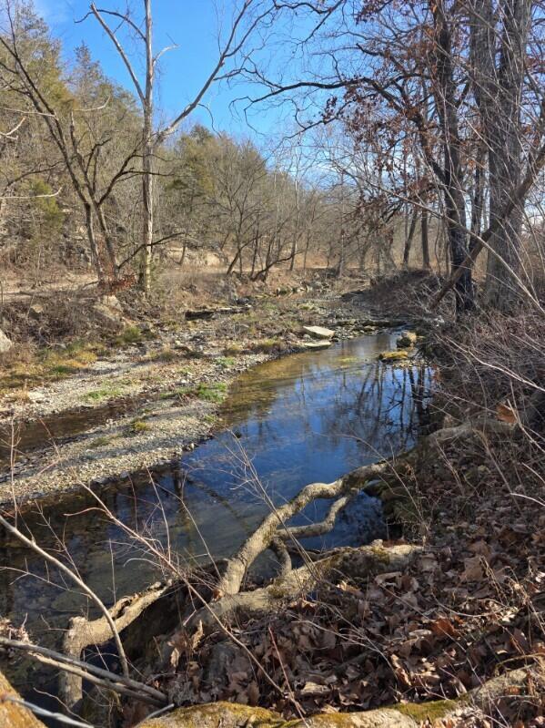 Photo 13 - Land for sale – Tbd W Enon Road  Omaha, AR