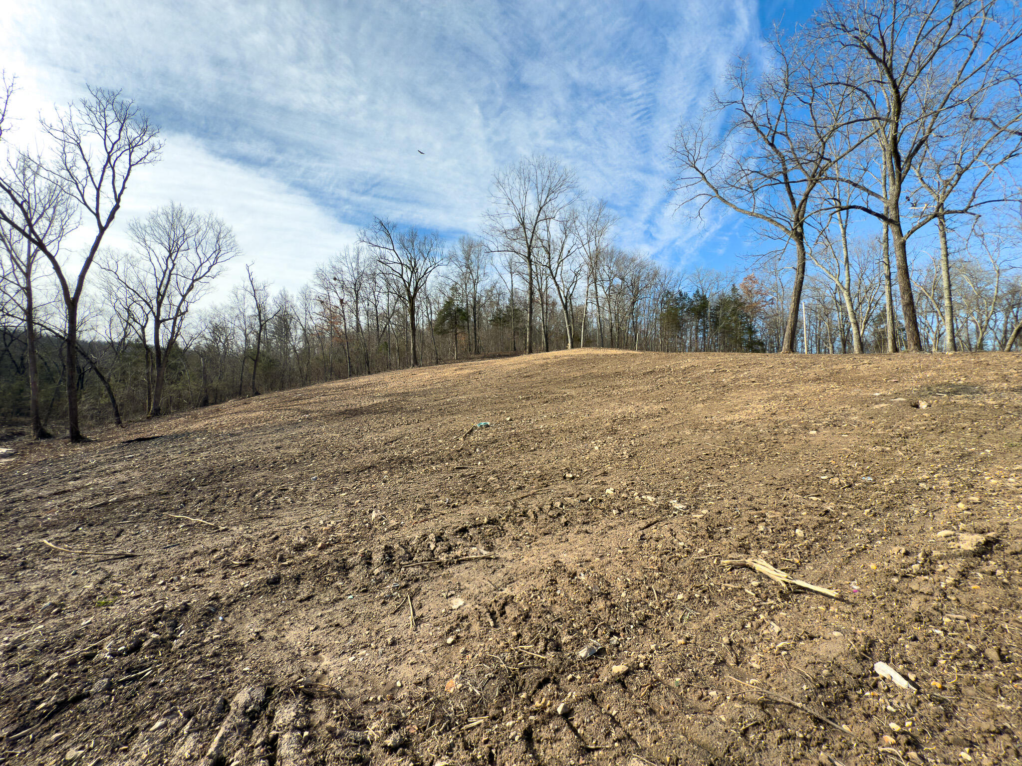 Photo 34 - Land for sale – Tbd W Enon Road  Omaha, AR