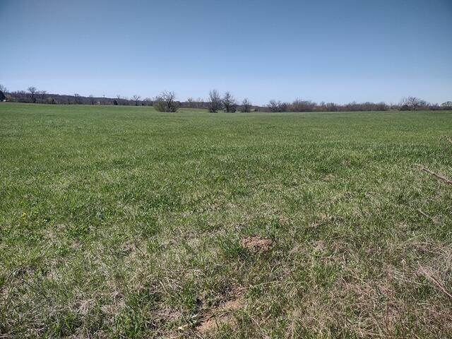 Photo 2 - Land for sale – Tbd  Commerce Road  Marshfield, MO