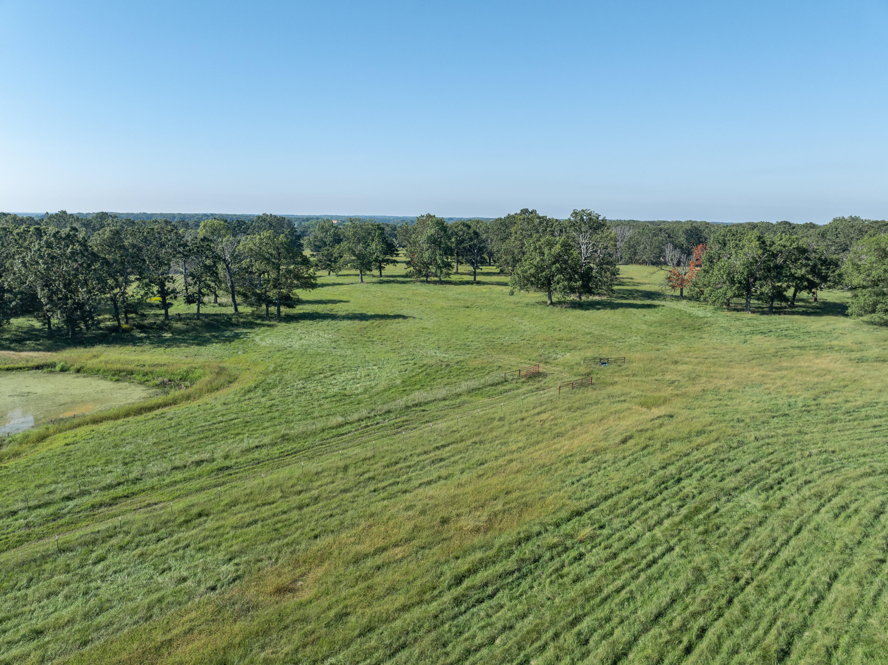 Photo 5 - Farm for sale – 2288  Red Oak Road  Fordland, MO