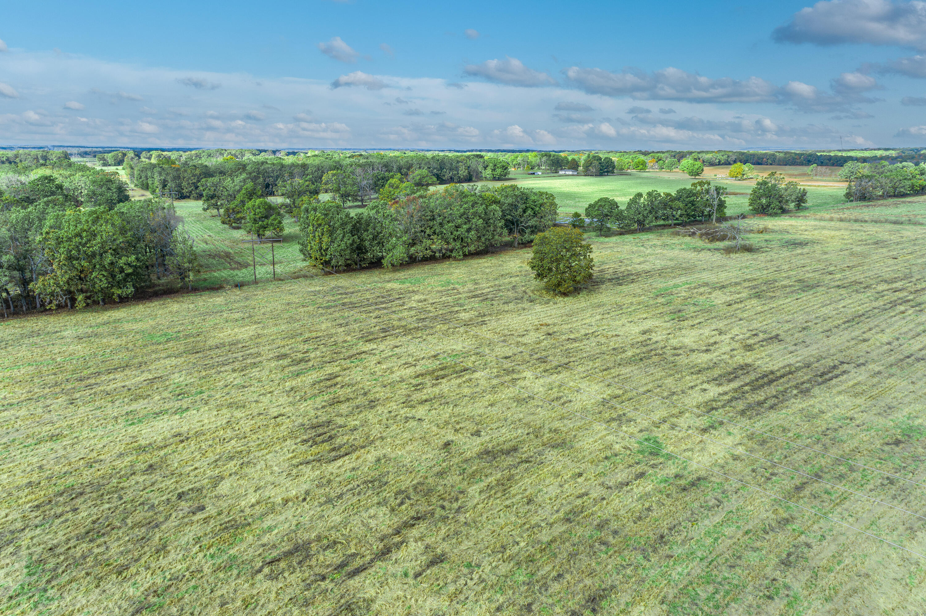 Photo 35 - Farm for sale – 2288  Red Oak Road  Fordland, MO