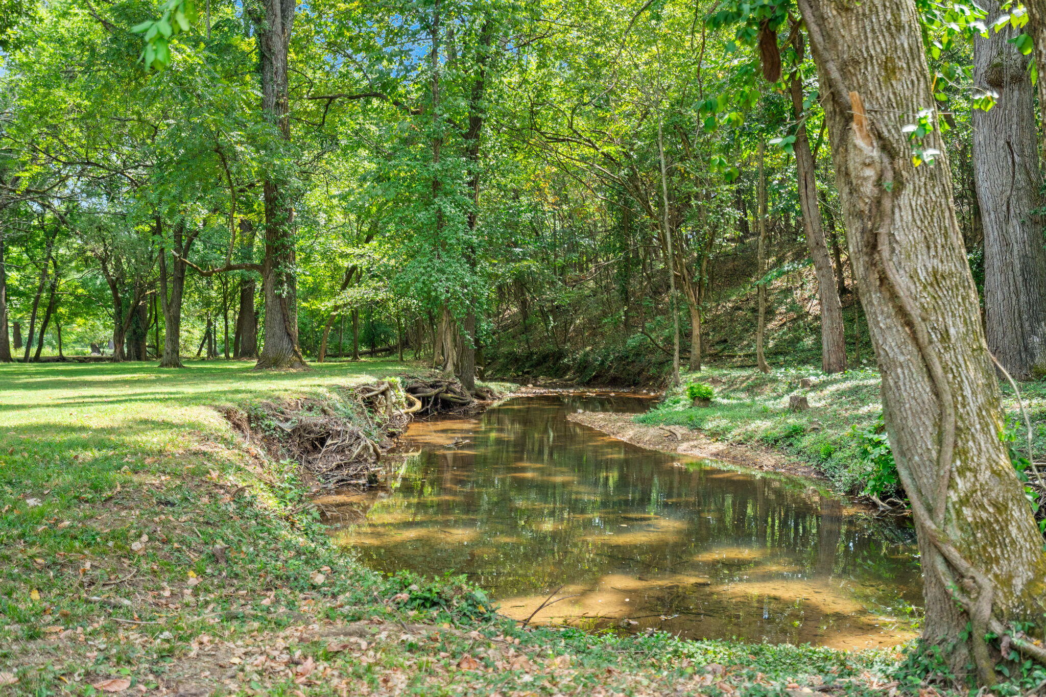 Photo 11 - Land for sale – 4308 E Catalpa Street  Springfield, MO
