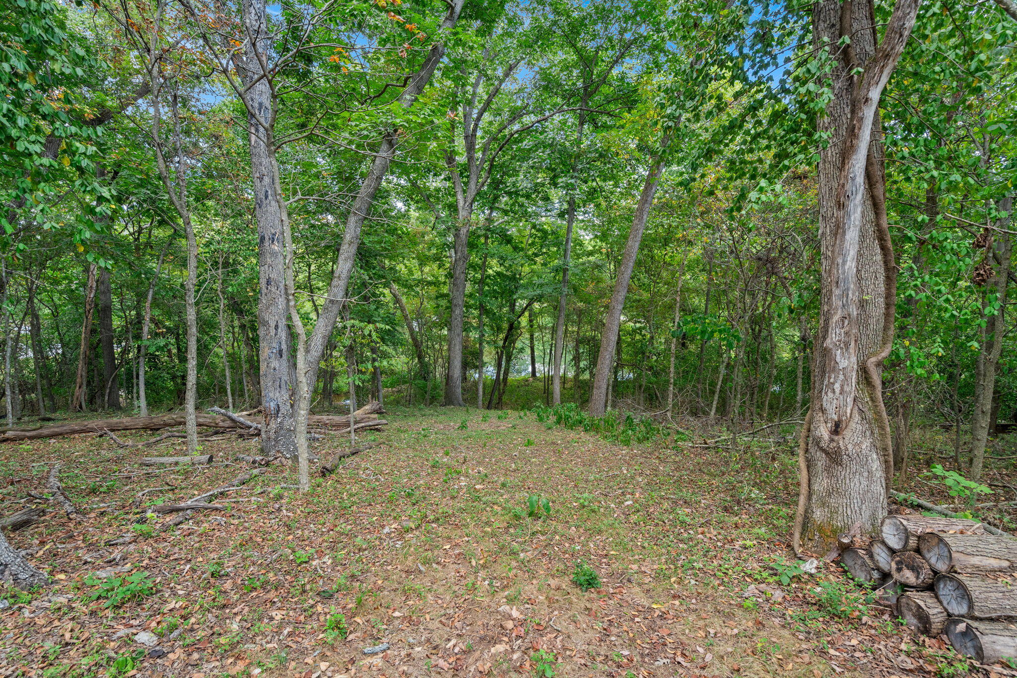 Photo 28 - Land for sale – 4308 E Catalpa Street  Springfield, MO