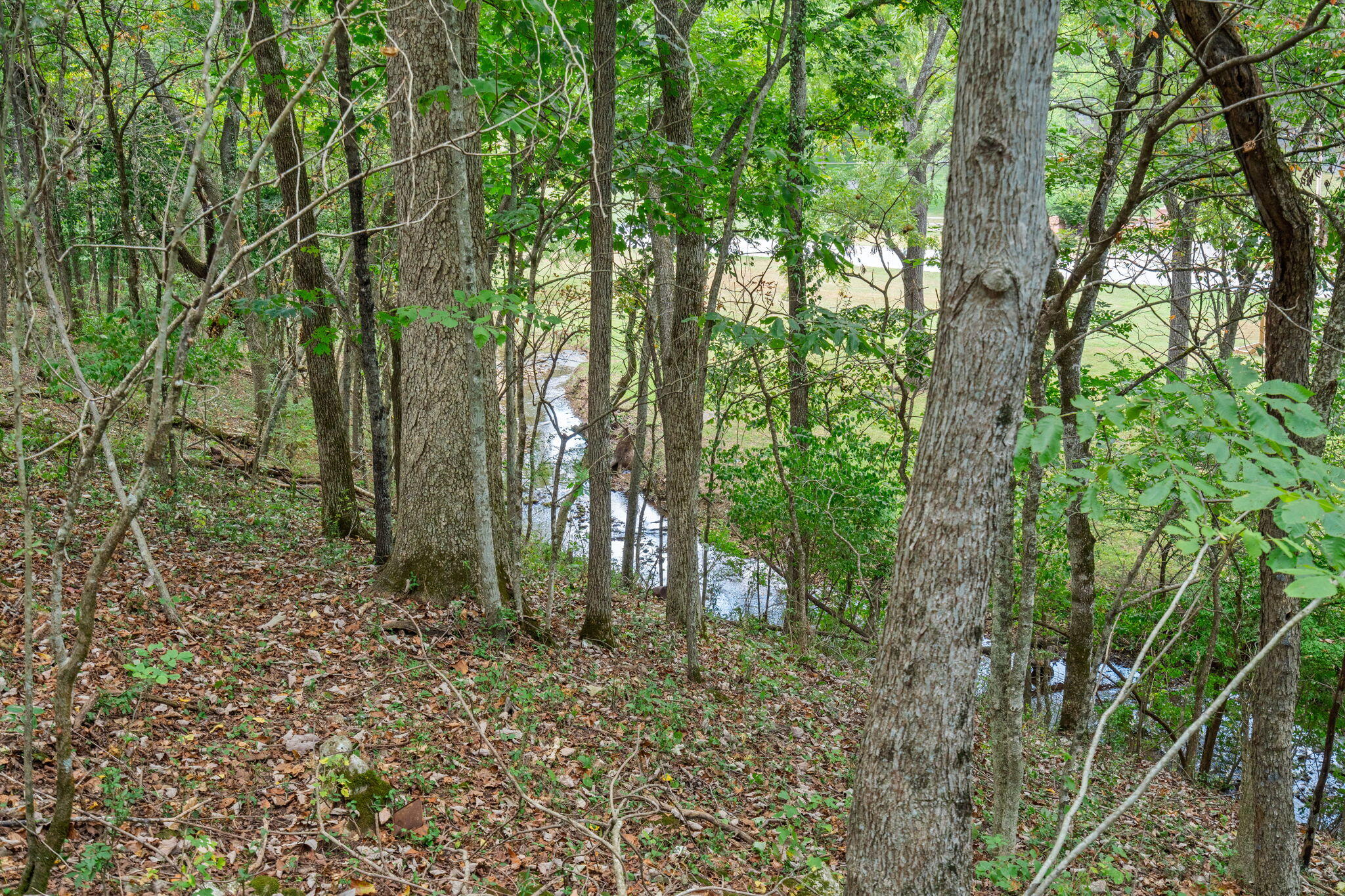 Photo 20 - Land for sale – 4308 E Catalpa Street  Springfield, MO