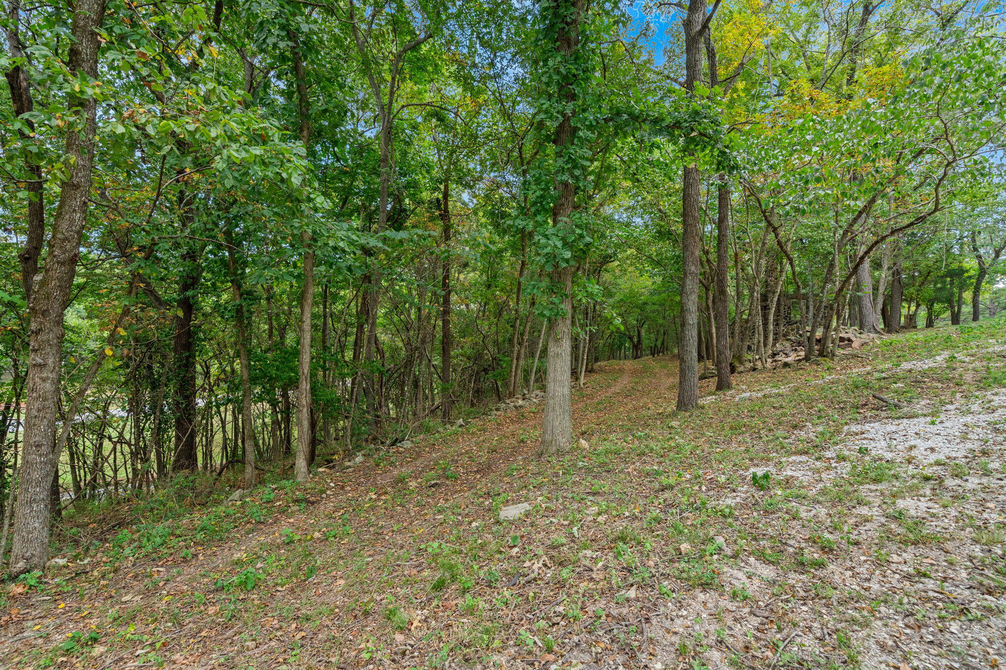 Photo 18 - Land for sale – 4308 E Catalpa Street  Springfield, MO