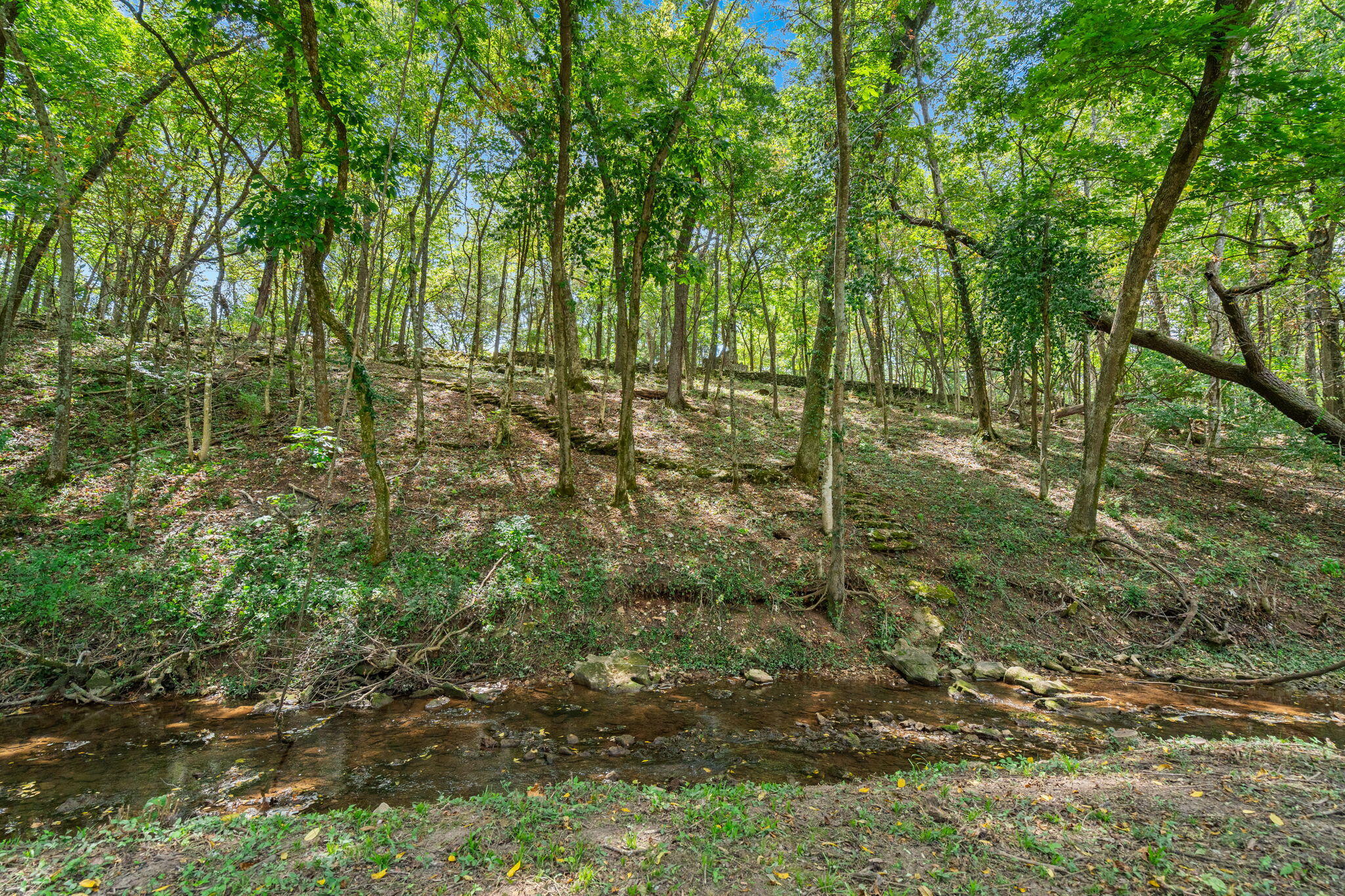 Photo 9 - Land for sale – 4308 E Catalpa Street  Springfield, MO