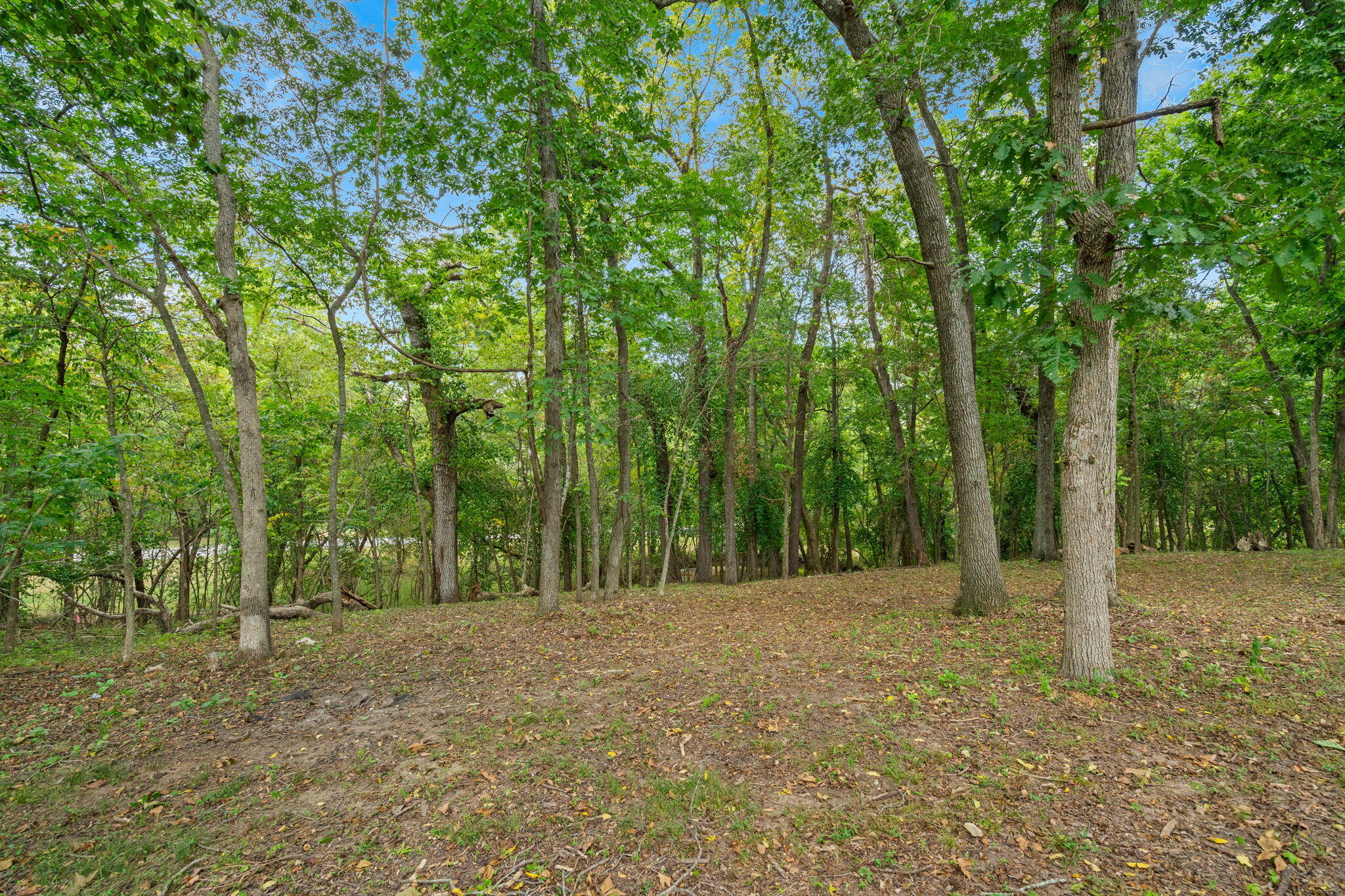 Photo 26 - Land for sale – 4308 E Catalpa Street  Springfield, MO