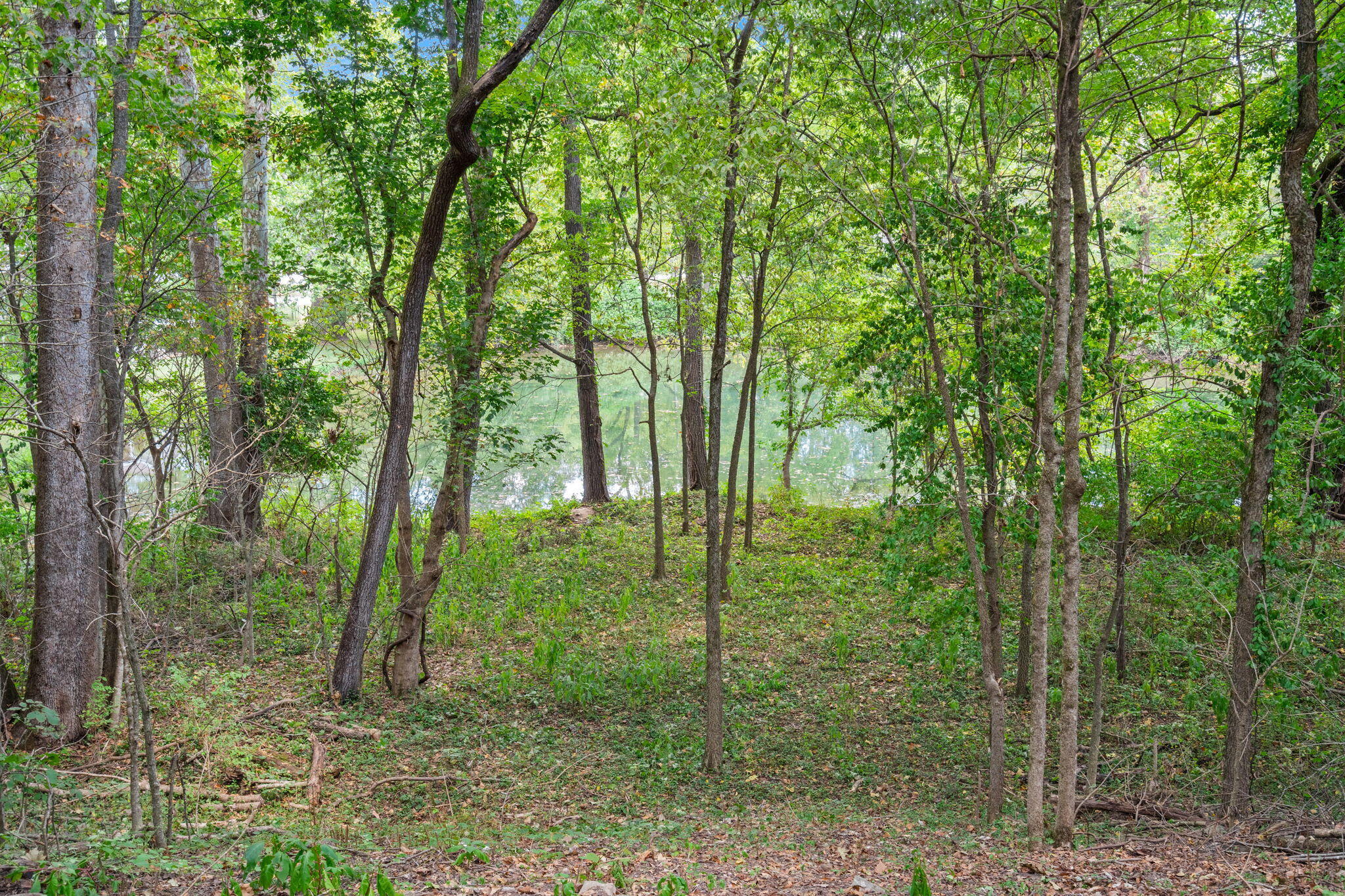 Photo 29 - Land for sale – 4308 E Catalpa Street  Springfield, MO