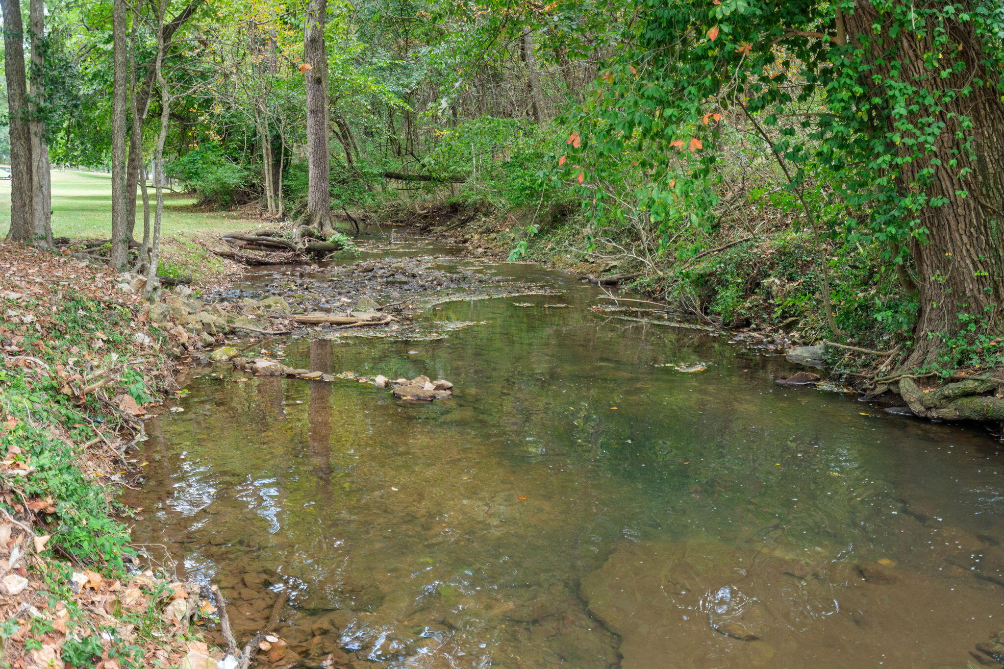 Photo 3 - Land for sale – 4308 E Catalpa Street  Springfield, MO
