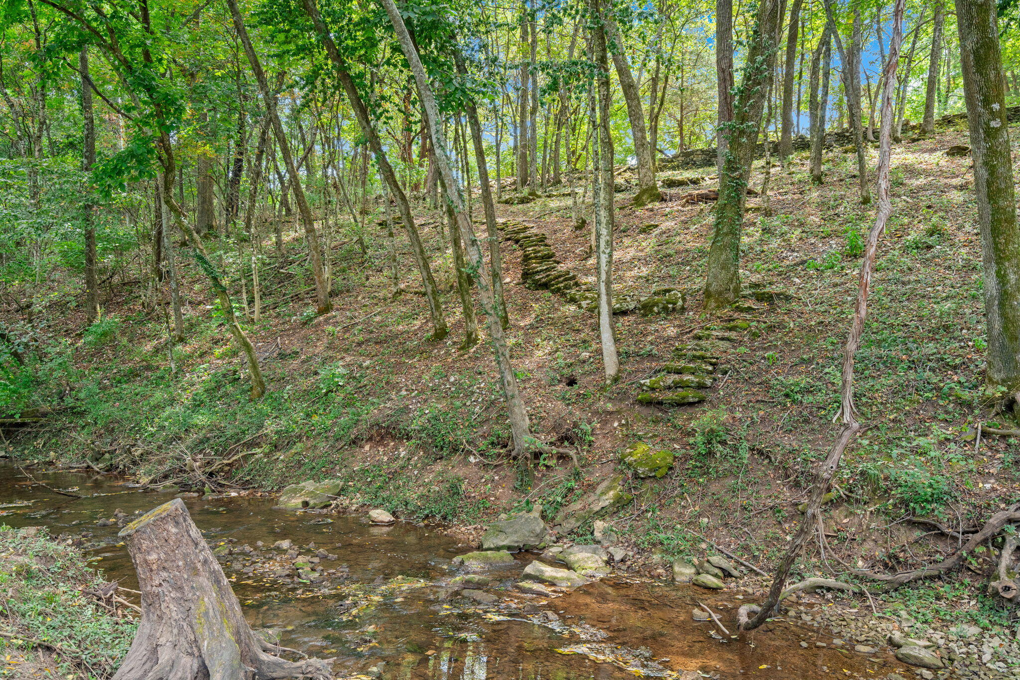 Photo 8 - Land for sale – 4308 E Catalpa Street  Springfield, MO