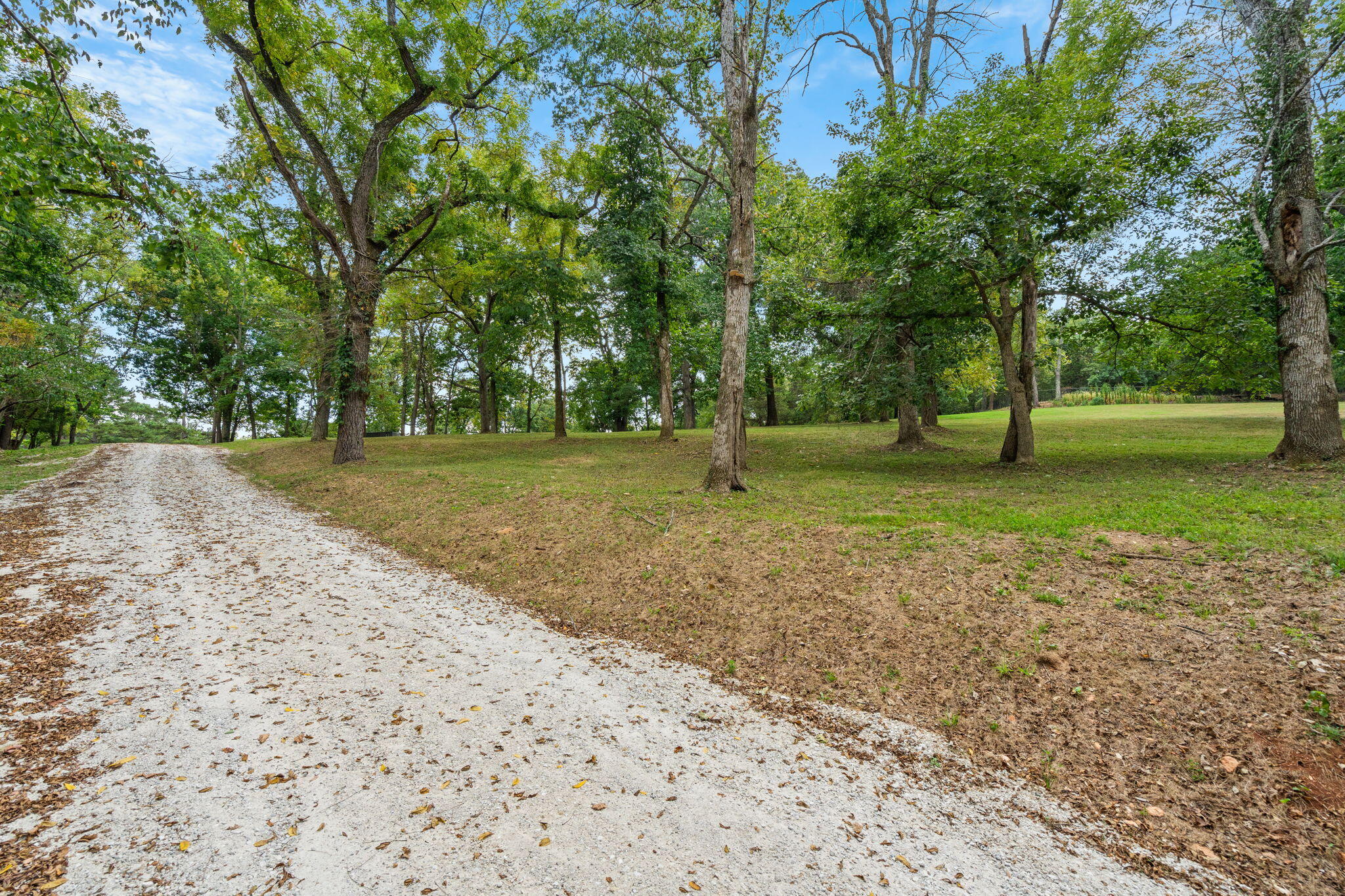 Photo 17 - Land for sale – 4308 E Catalpa Street  Springfield, MO