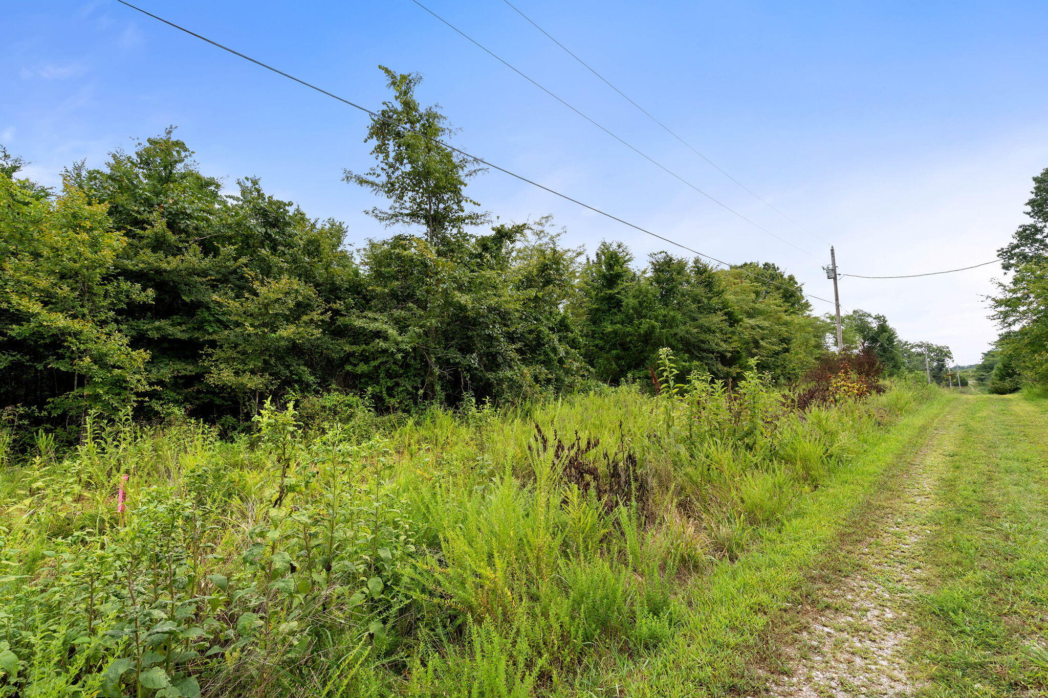 Photo 5 - Land for sale – Lot 11  Frisco Road  Galena, MO