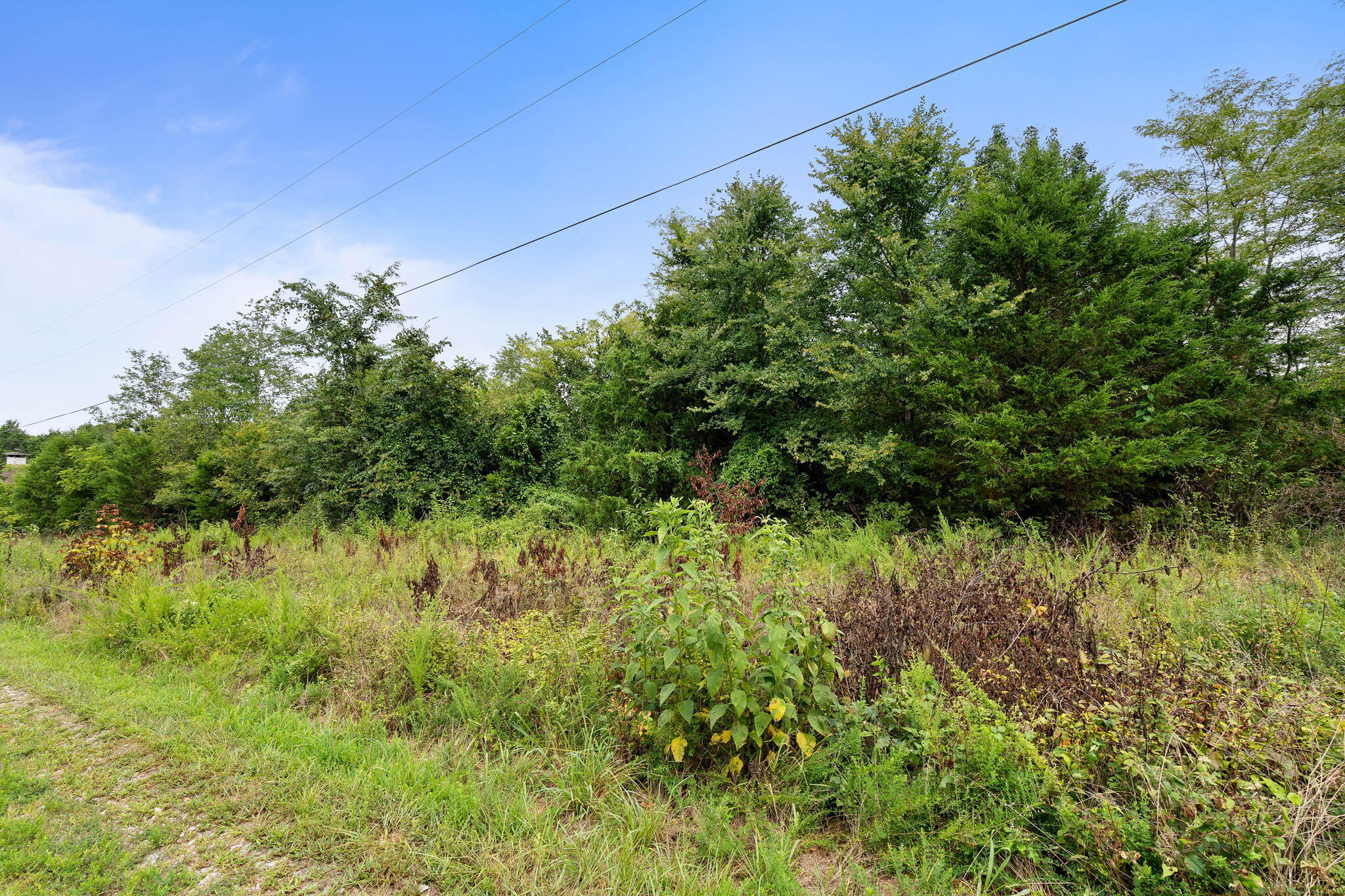 Photo 4 - Land for sale – Lot 11  Frisco Road  Galena, MO