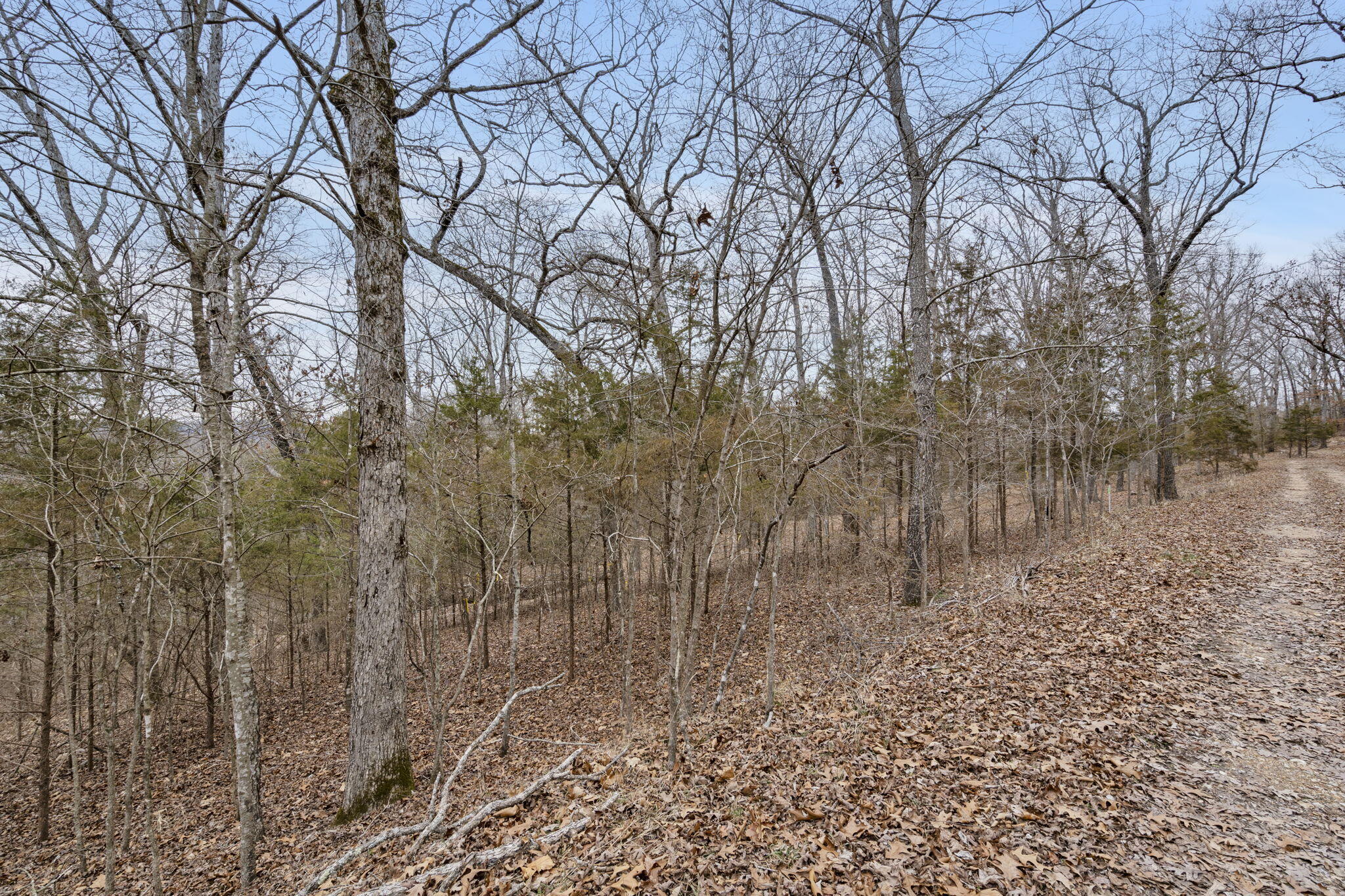 Photo 6 - Land for sale – Lot 7  Eagle Bluff Estates  Eagle Rock, MO