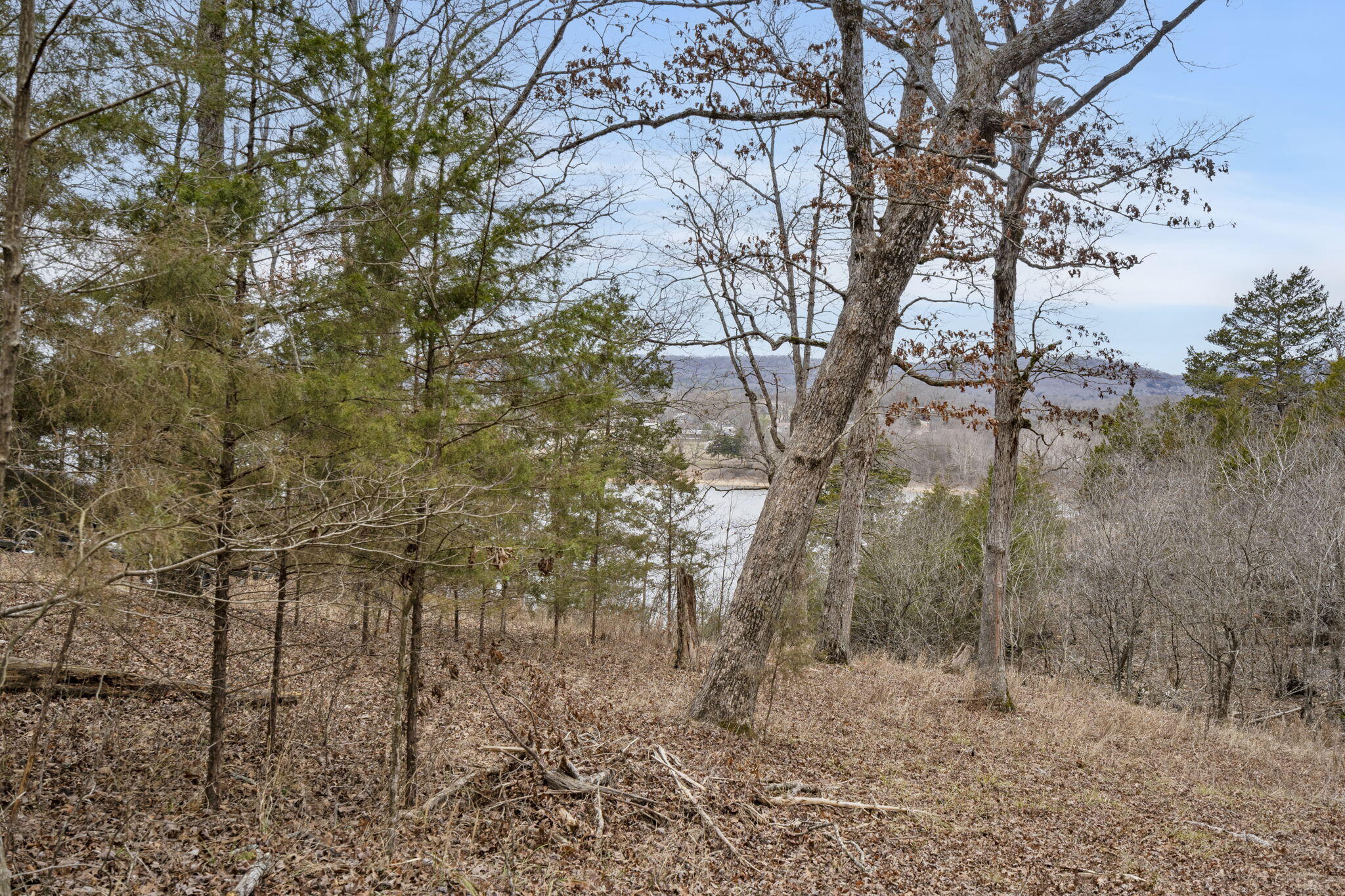 Photo 8 - Land for sale – Lot 7  Eagle Bluff Estates  Eagle Rock, MO