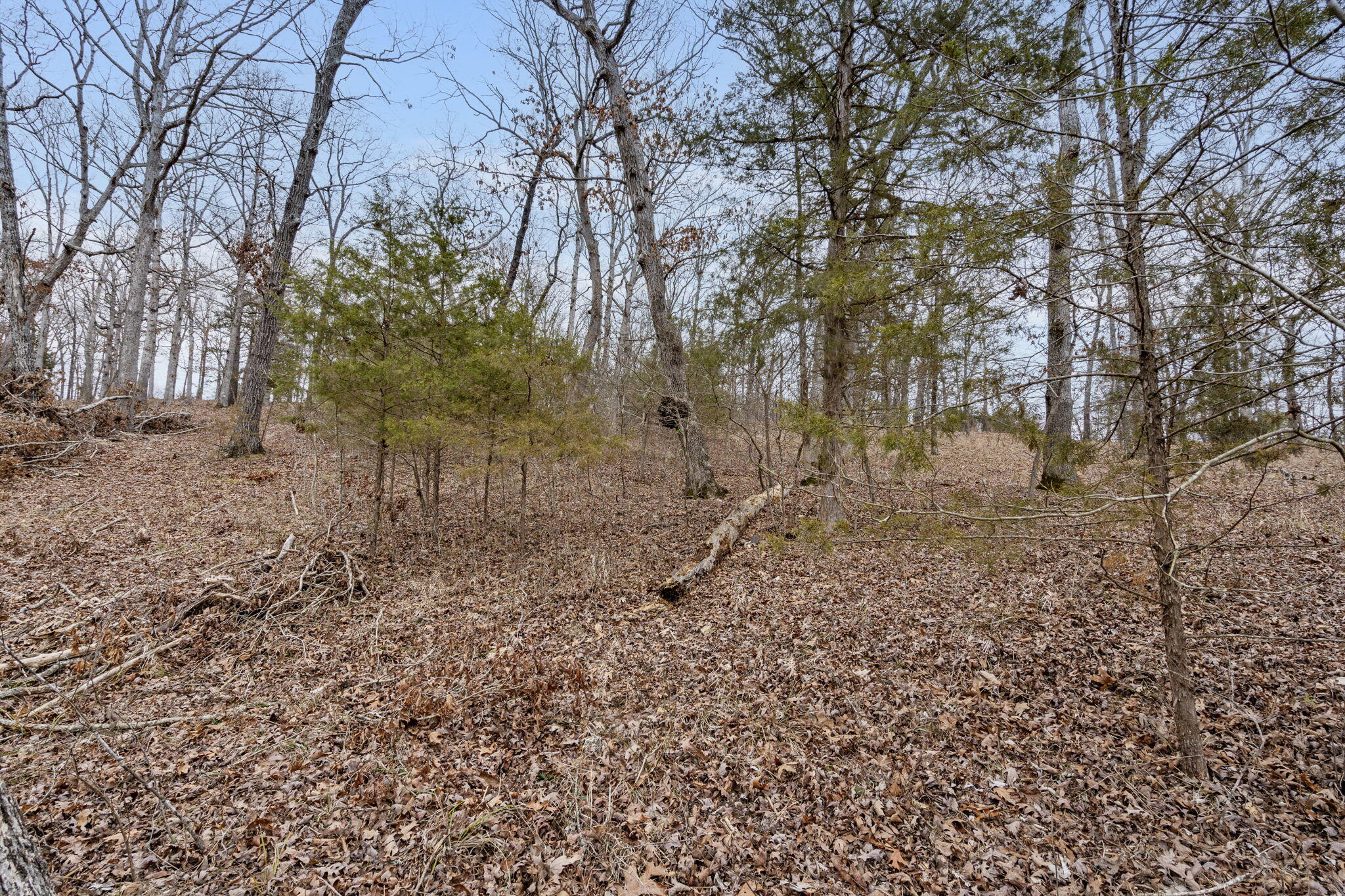 Photo 11 - Land for sale – Lot 7  Eagle Bluff Estates  Eagle Rock, MO