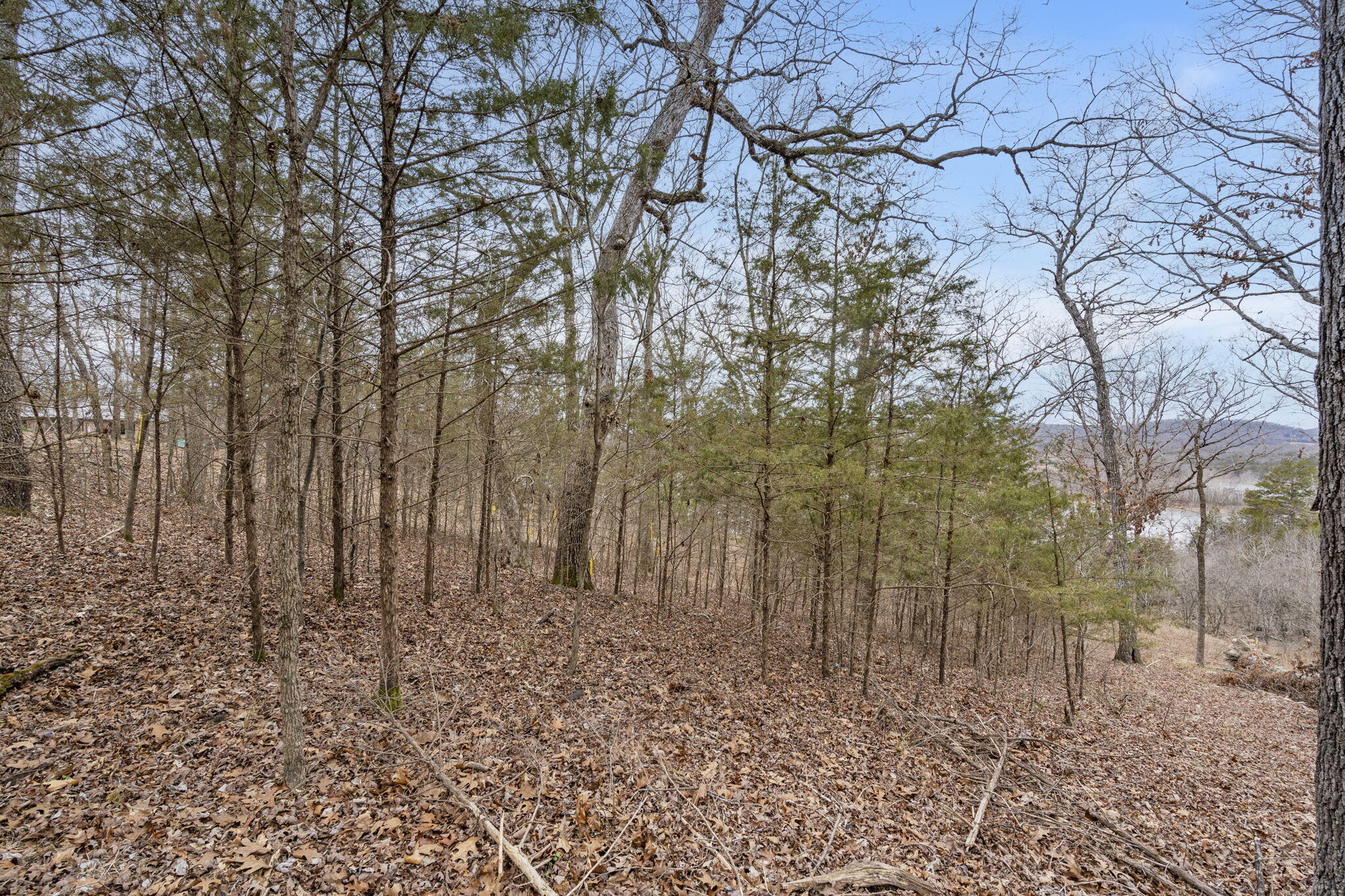 Photo 7 - Land for sale – Lot 7  Eagle Bluff Estates  Eagle Rock, MO