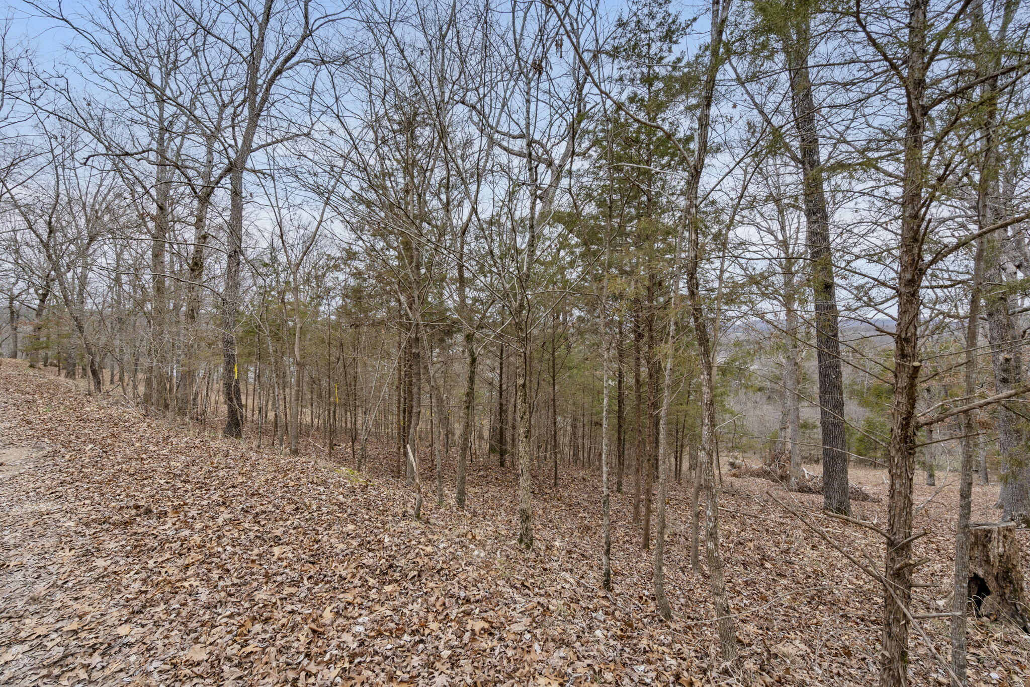 Photo 10 - Land for sale – Lot 7  Eagle Bluff Estates  Eagle Rock, MO