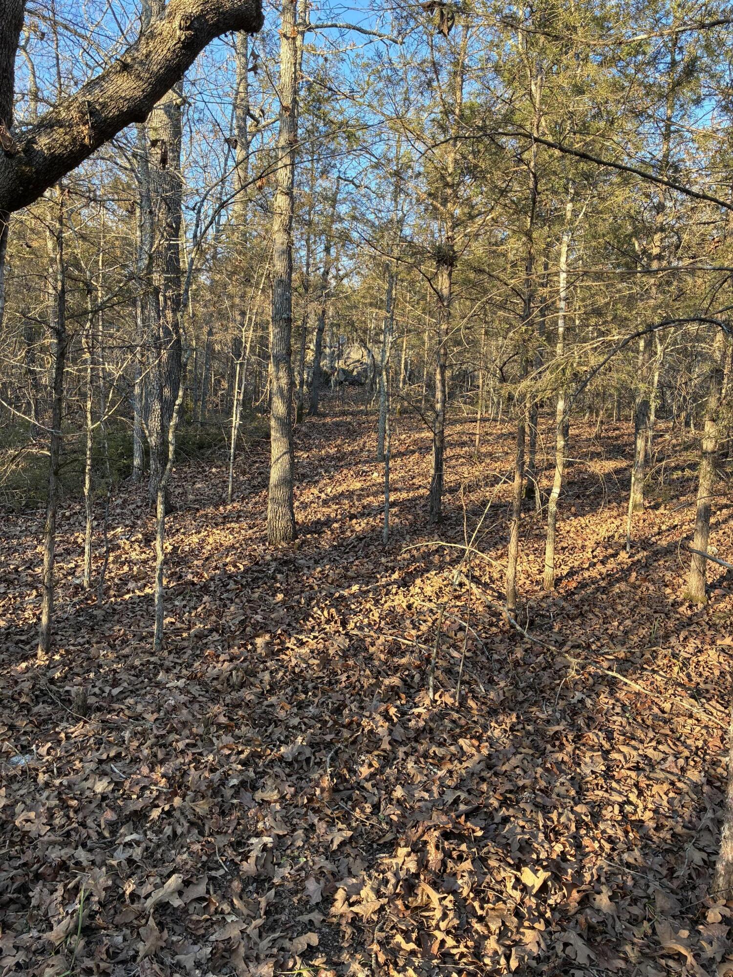 Photo 5 - Land for sale – Lot 24  Limestone Drive  Branson West, MO