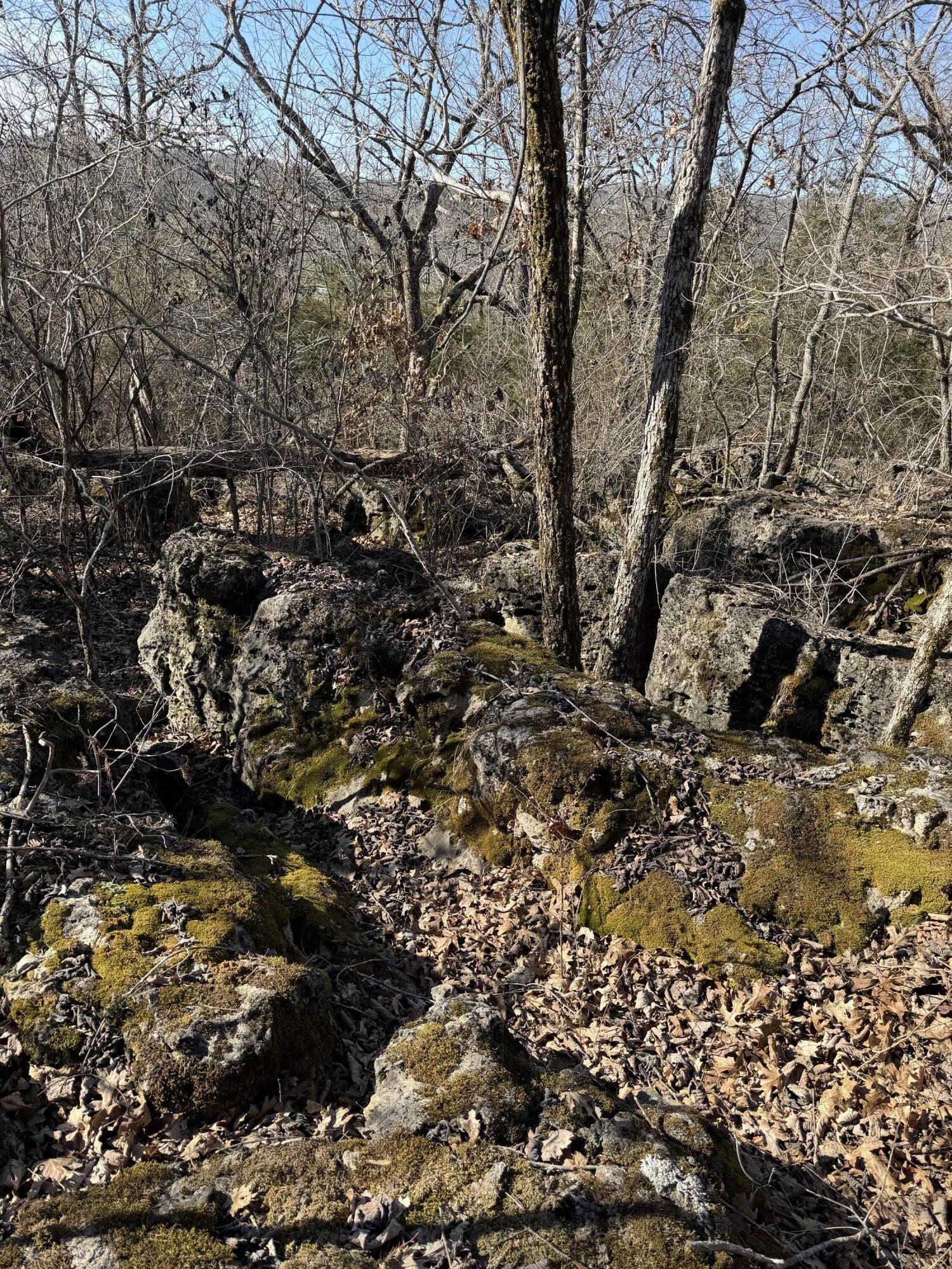 Photo 11 - Land for sale – Lot 24  Limestone Drive  Branson West, MO