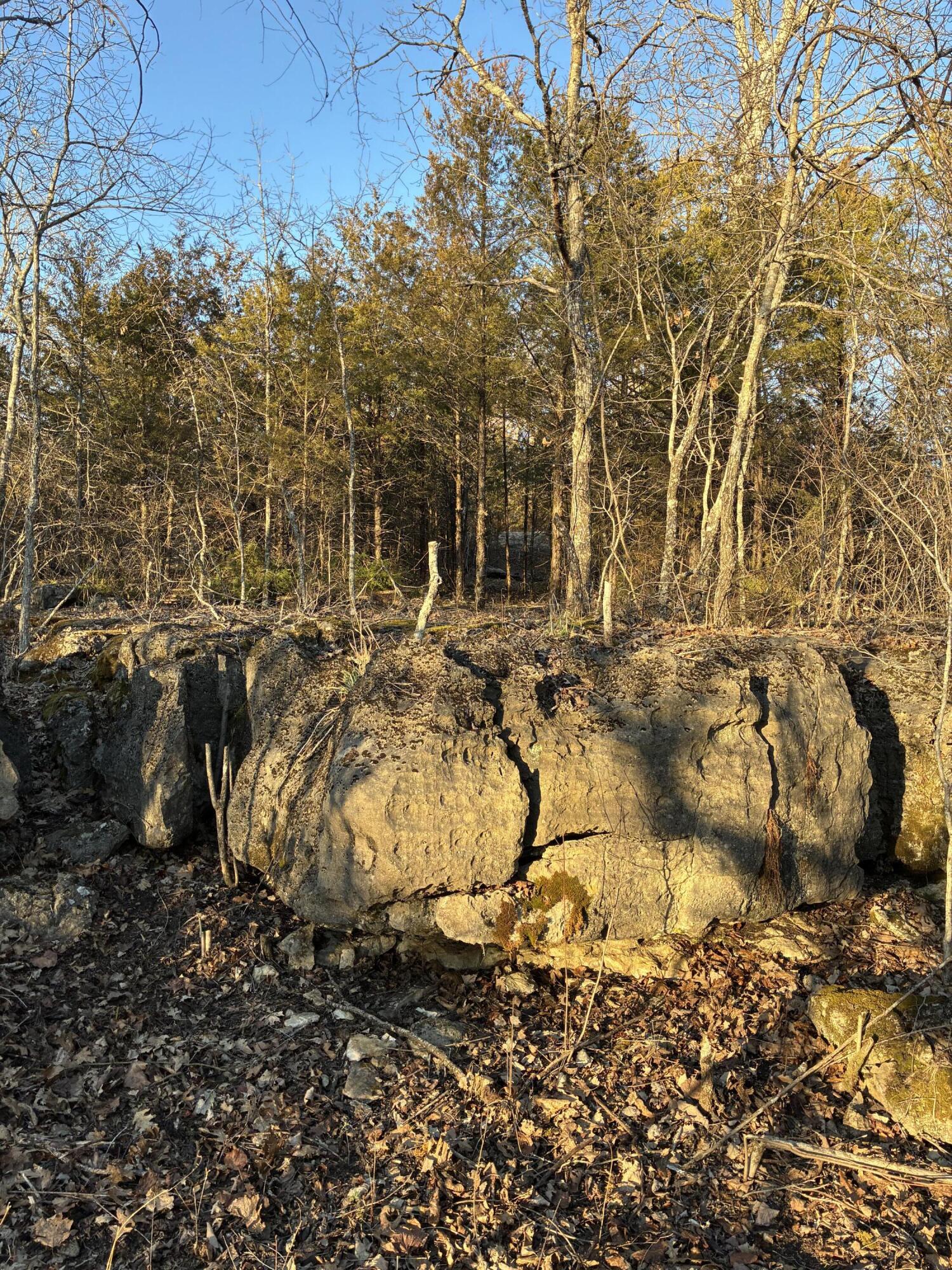 Photo 9 - Land for sale – Lot 24  Limestone Drive  Branson West, MO