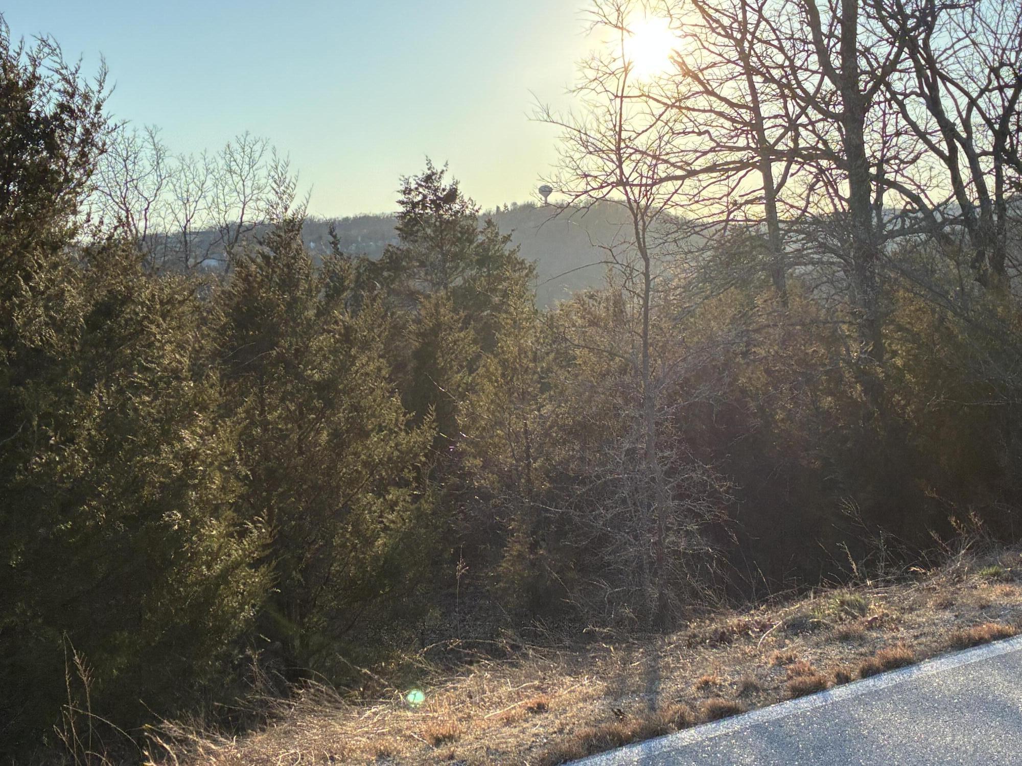 Photo 2 - Land for sale – Lot 24  Limestone Drive  Branson West, MO