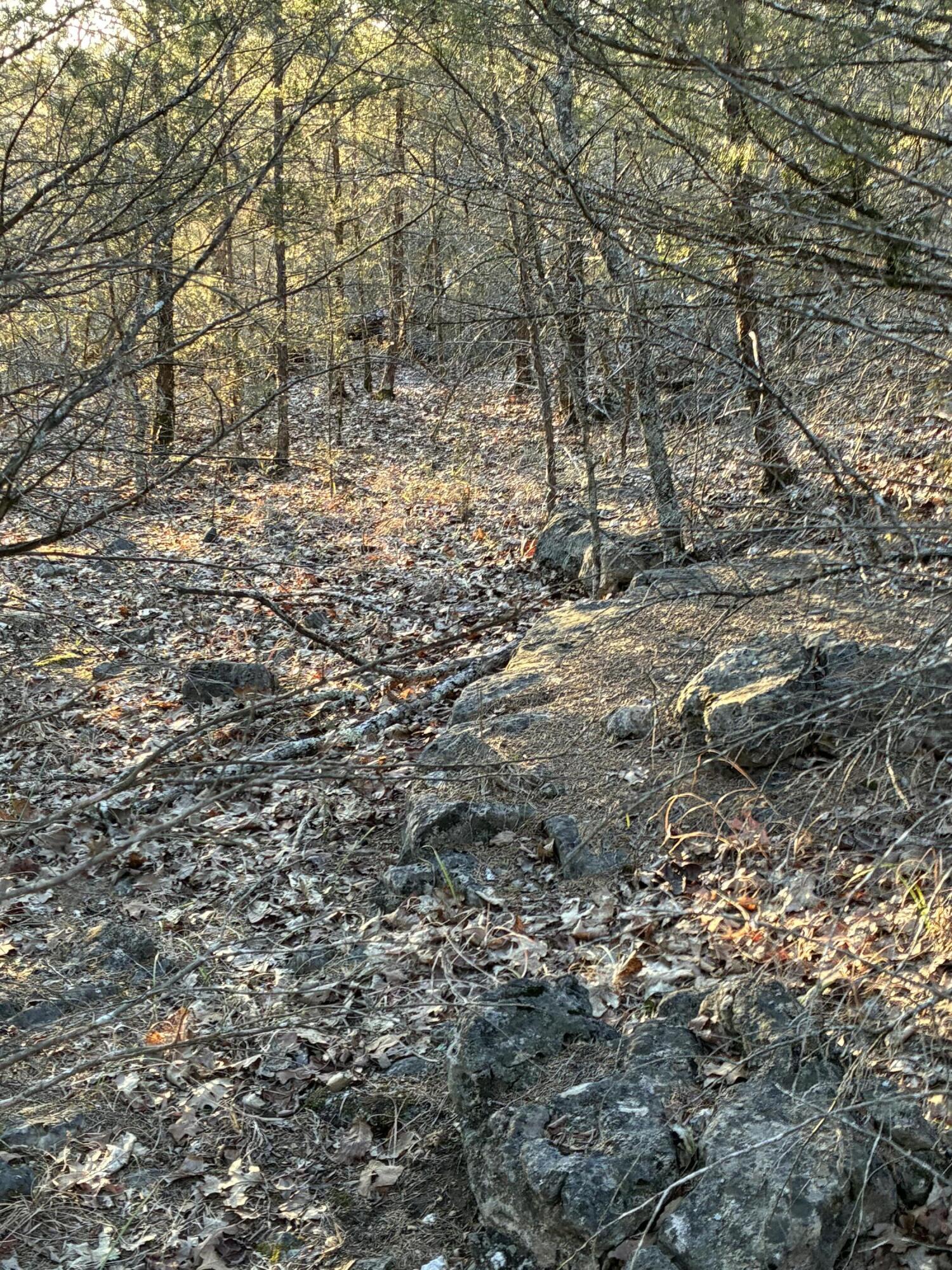 Photo 8 - Land for sale – Lot 24  Limestone Drive  Branson West, MO