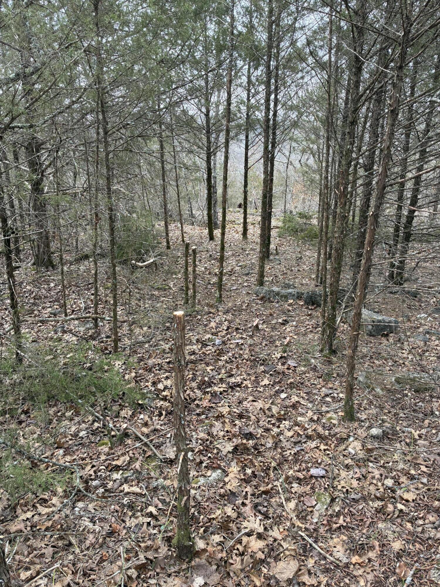 Photo 4 - Land for sale – Lot 24  Limestone Drive  Branson West, MO