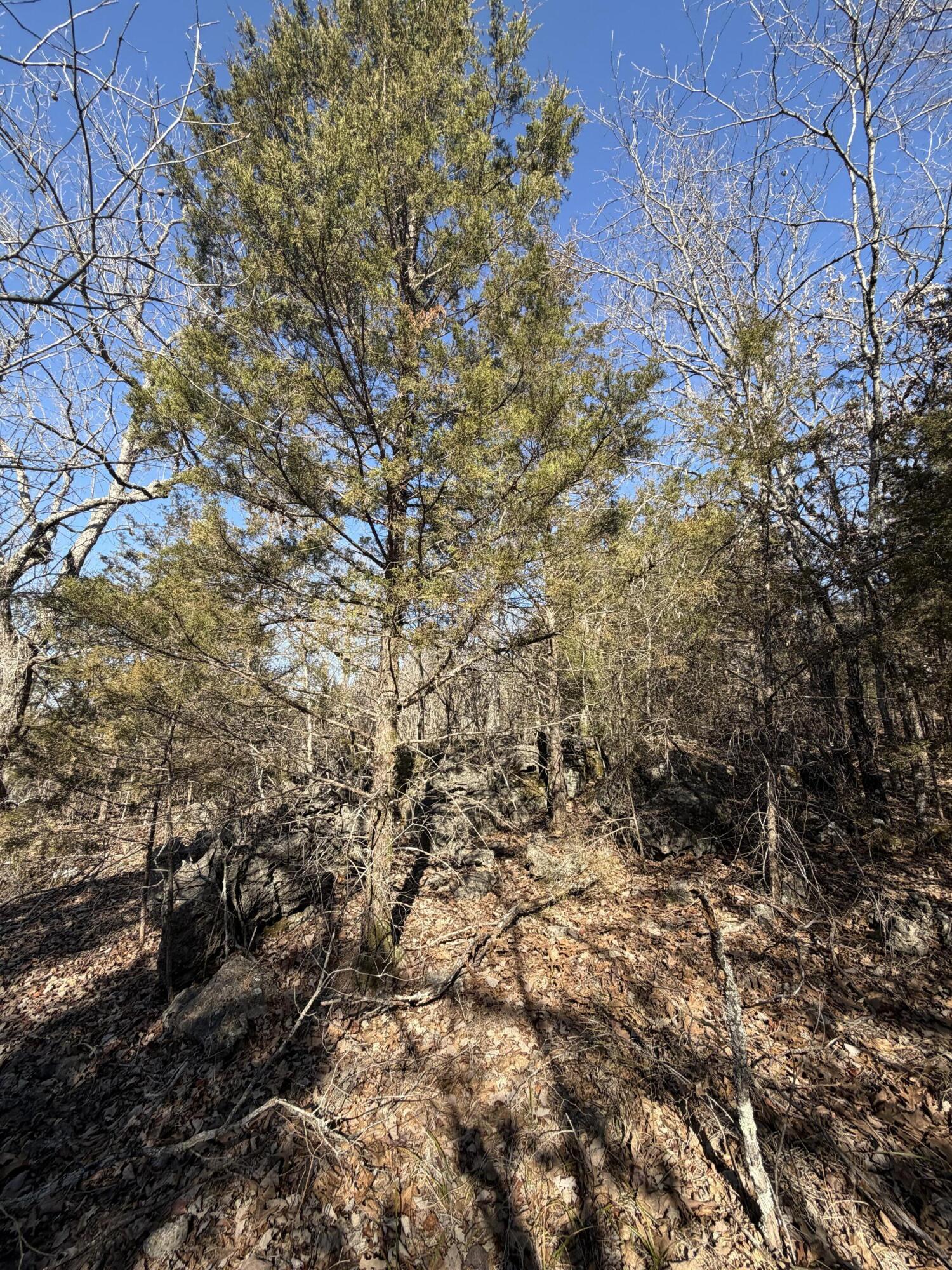 Photo 12 - Land for sale – Lot 24  Limestone Drive  Branson West, MO