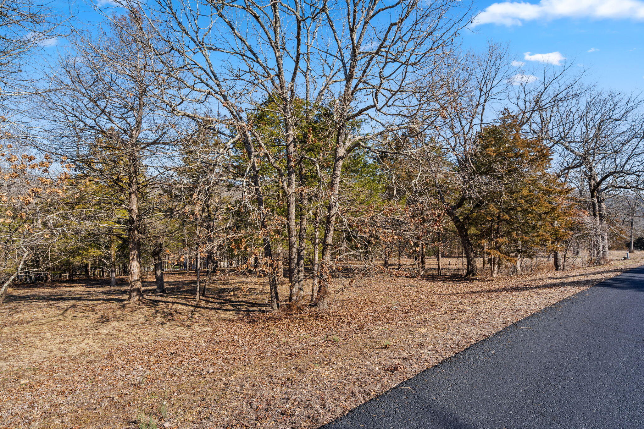 Photo 12 - Land for sale – Lot 34a  Phase 2 Appaloosa Trail  Saddlebrooke, MO
