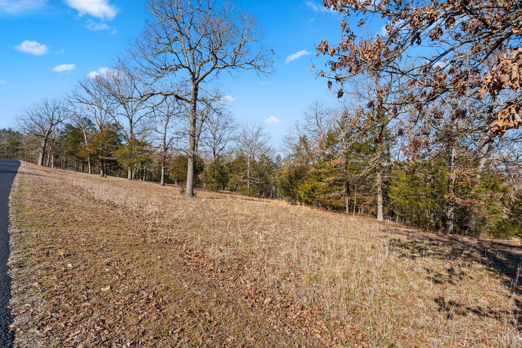 Photo 8 - Land for sale – Lot 34a  Phase 2 Appaloosa Trail  Saddlebrooke, MO