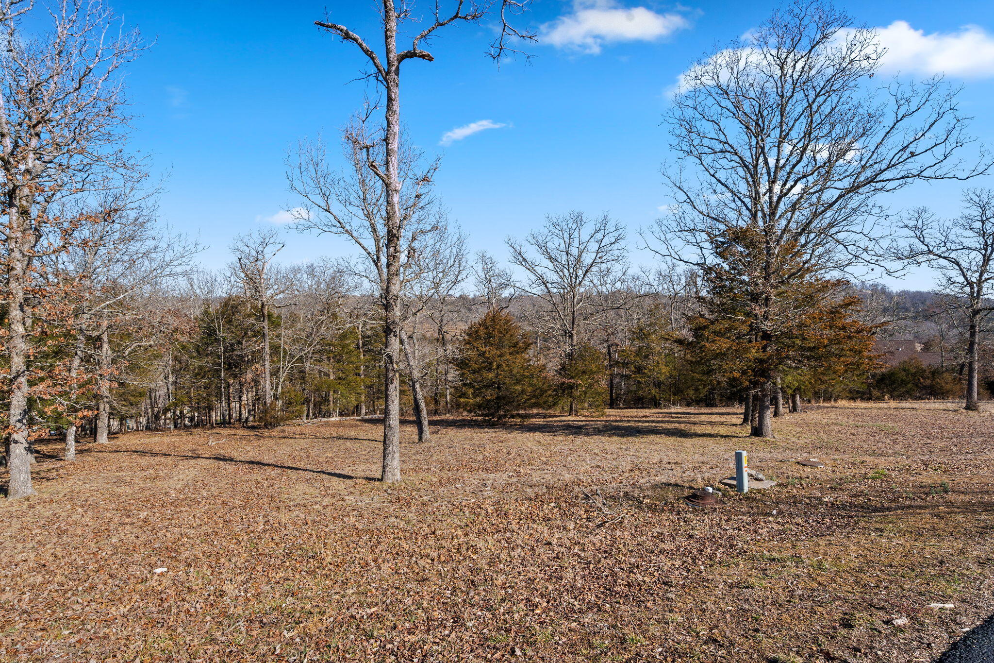 Photo 11 - Land for sale – Lot 34a  Phase 2 Appaloosa Trail  Saddlebrooke, MO
