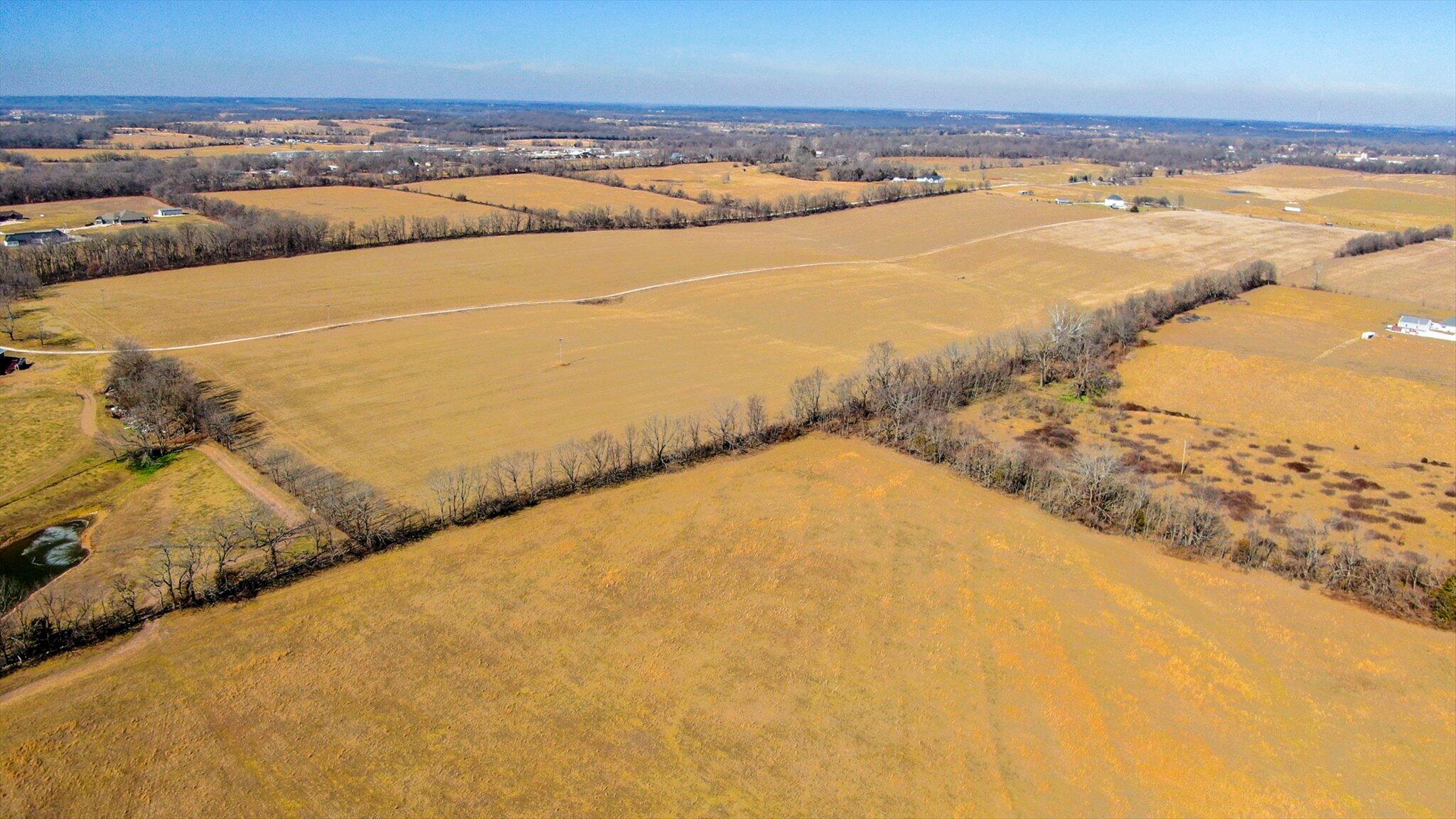 Photo 3 - Land for sale – 000  Rose Hill Road  Billings, MO