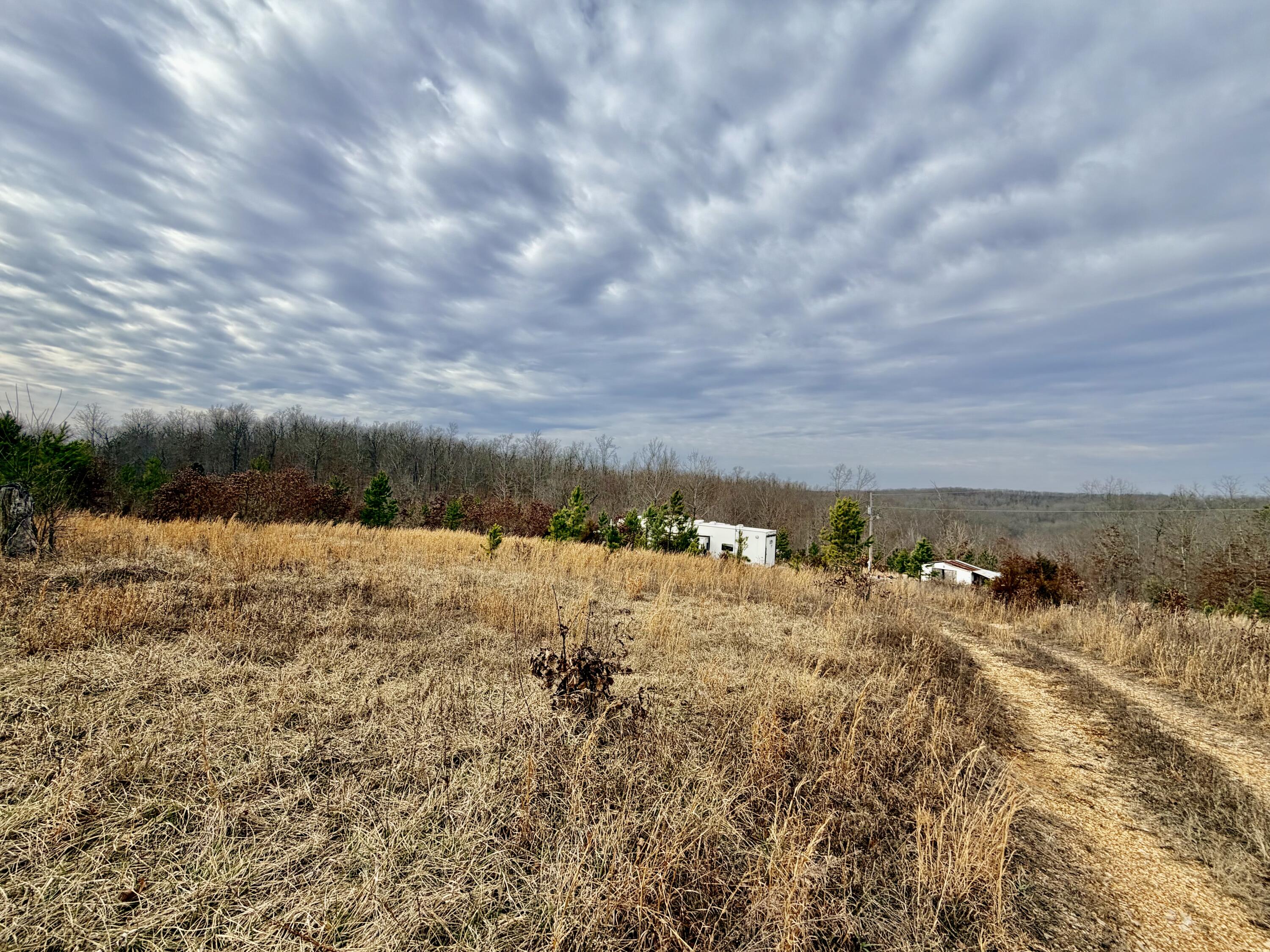 Photo 15 - Land for sale – 663  State Highway Ww   Salem, MO