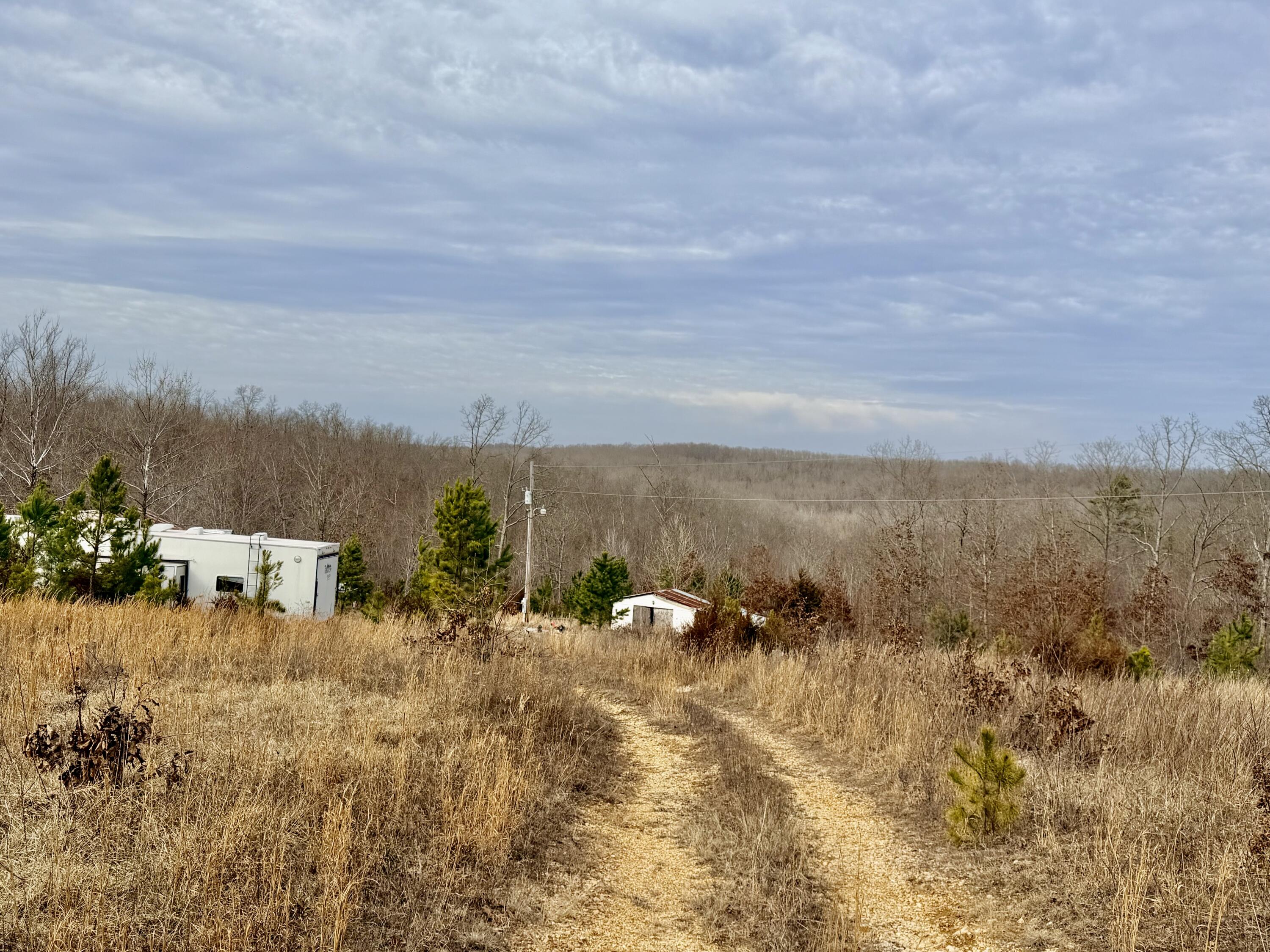 Photo 5 - Land for sale – 663  State Highway Ww   Salem, MO
