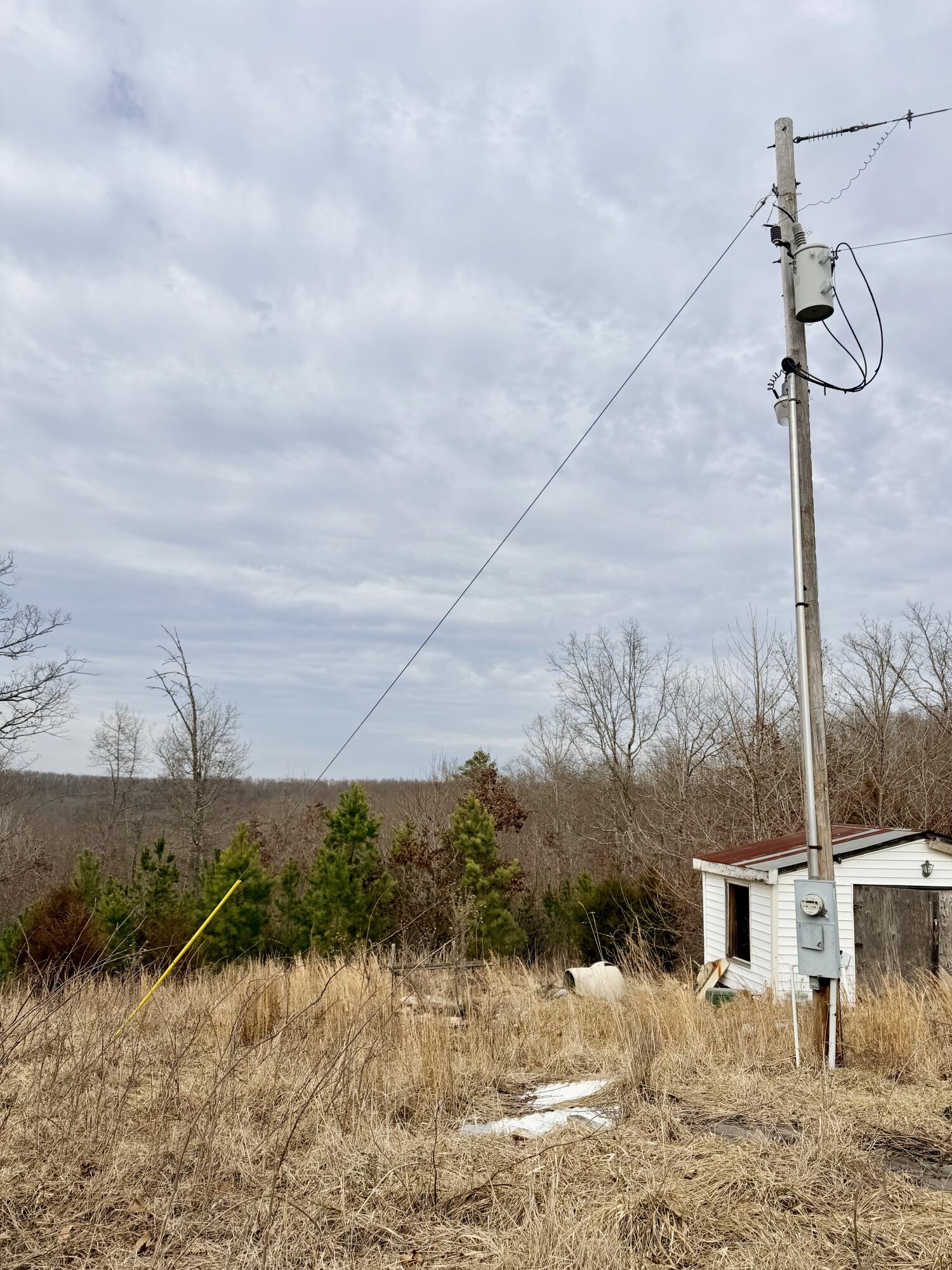 Photo 8 - Land for sale – 663  State Highway Ww   Salem, MO
