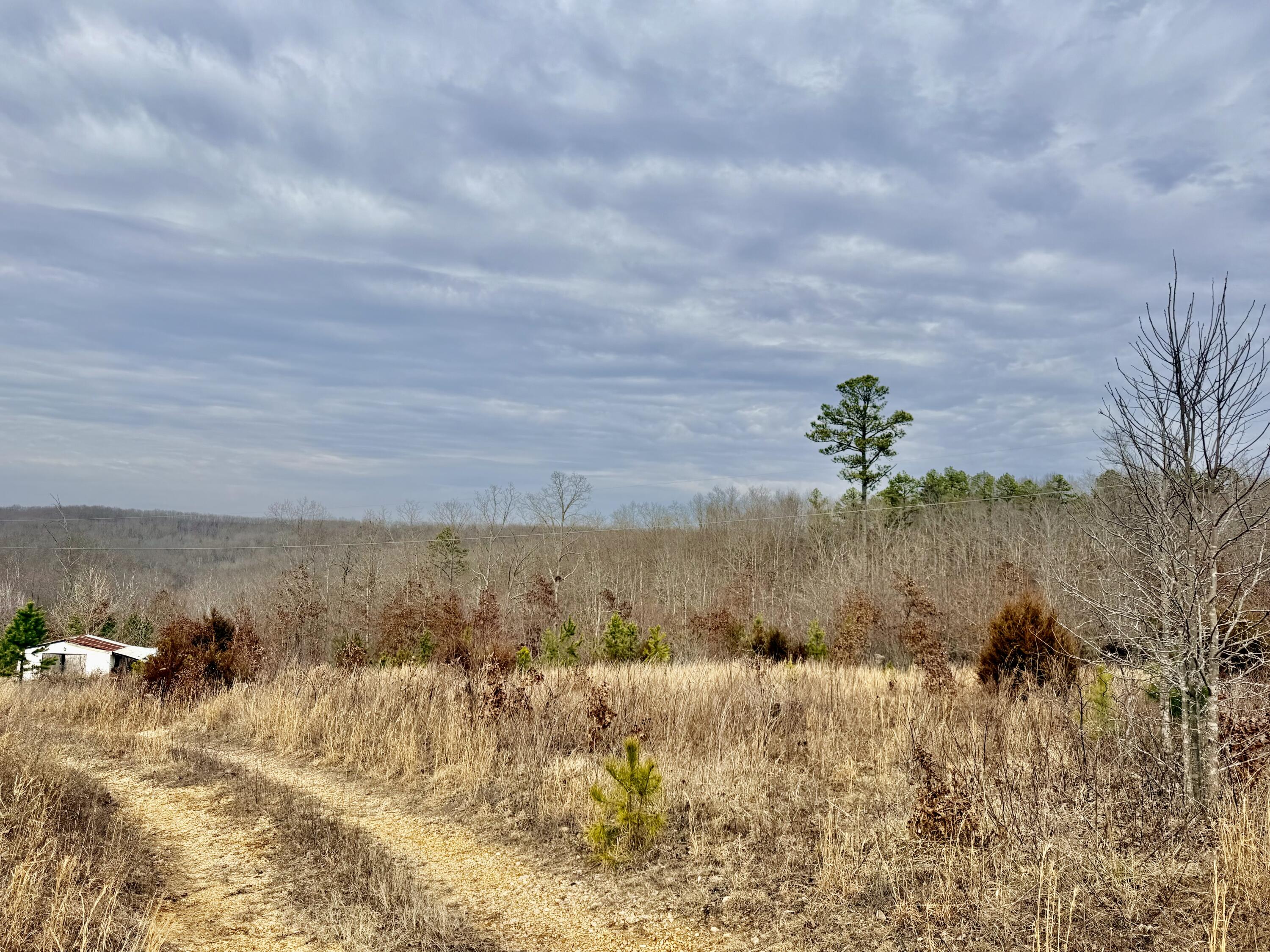 Photo 13 - Land for sale – 663  State Highway Ww   Salem, MO