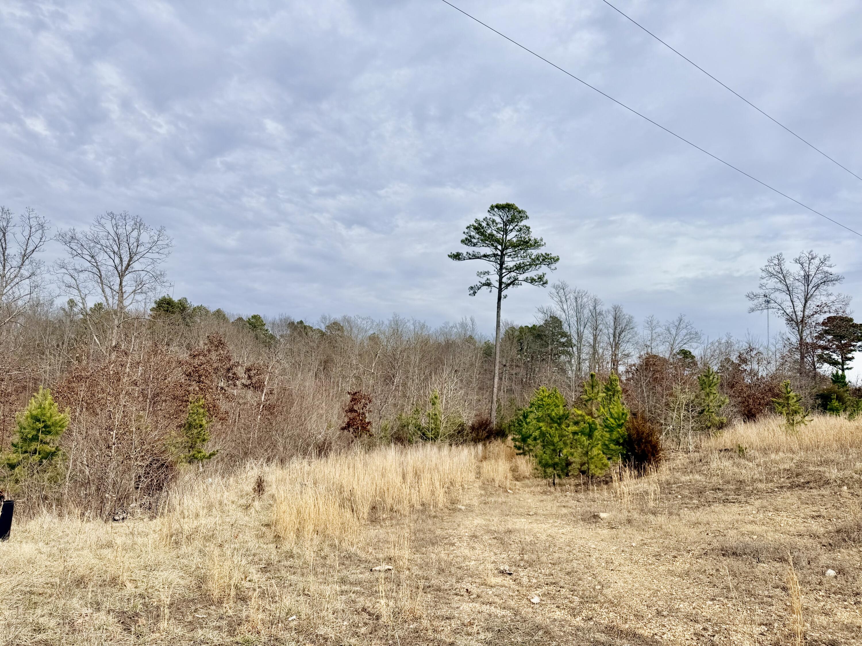 Photo 9 - Land for sale – 663  State Highway Ww   Salem, MO