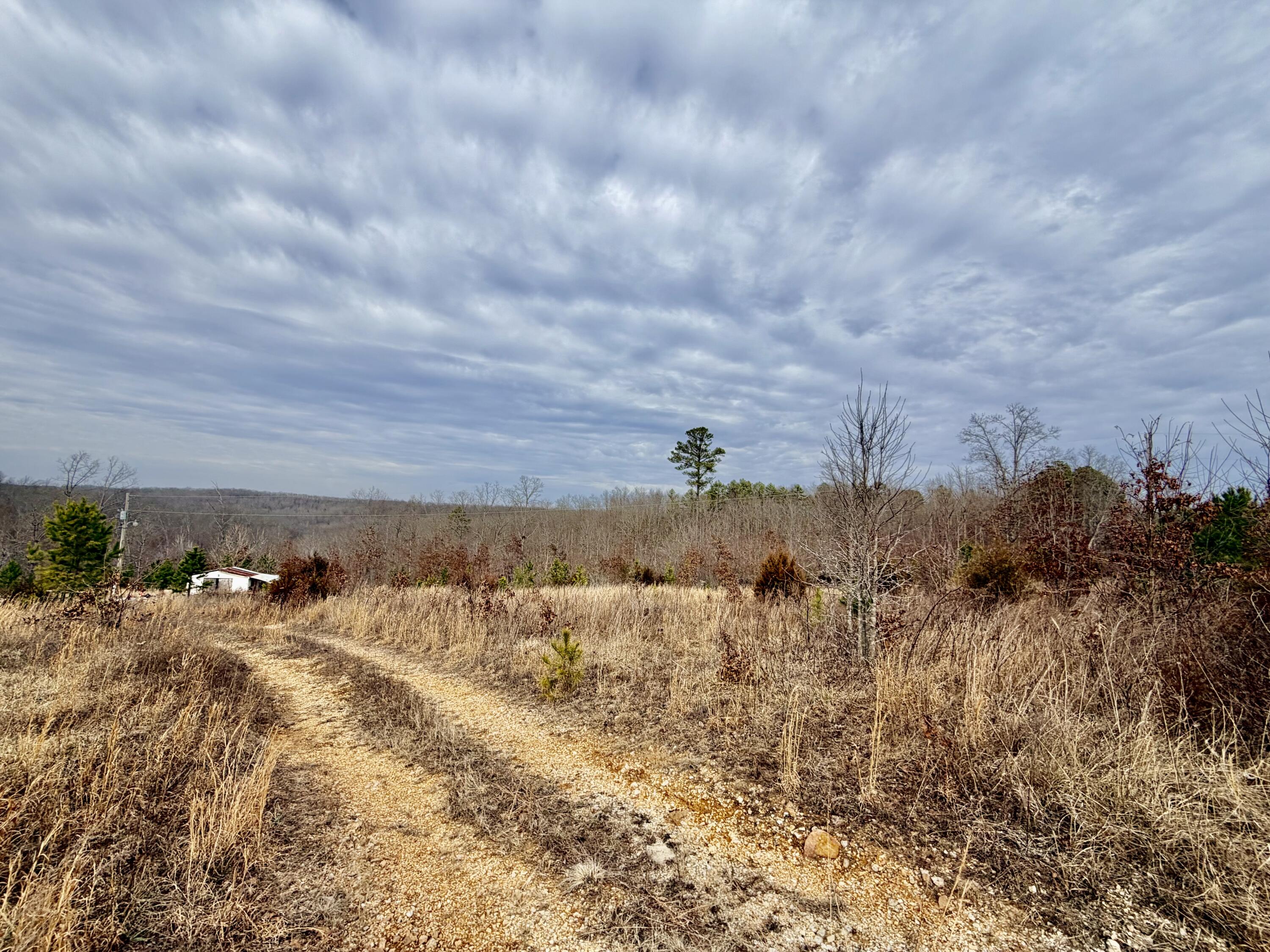 Photo 14 - Land for sale – 663  State Highway Ww   Salem, MO