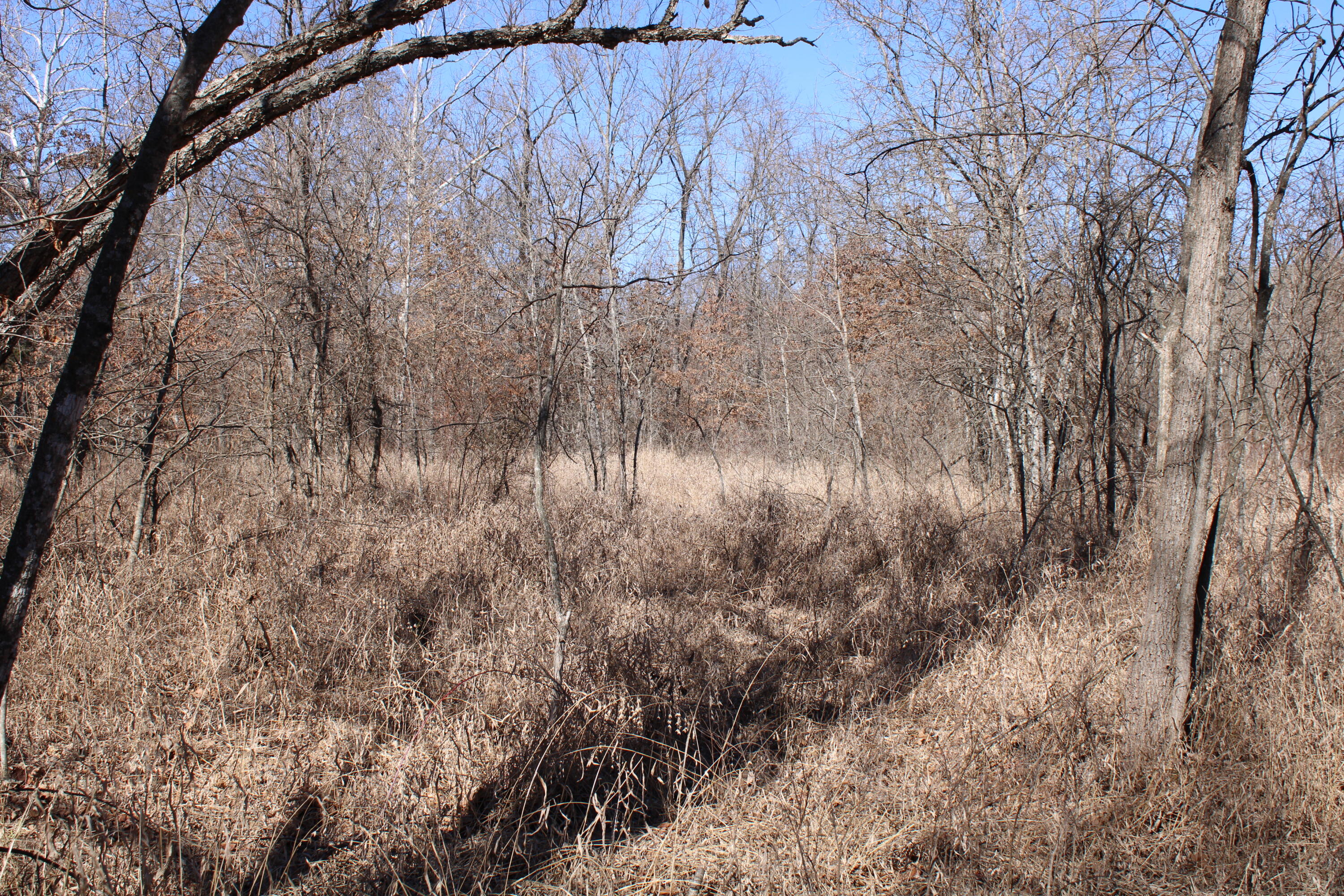 Photo 18 - Land for sale – 000 NE 184 Pvt Road  Osceola, MO
