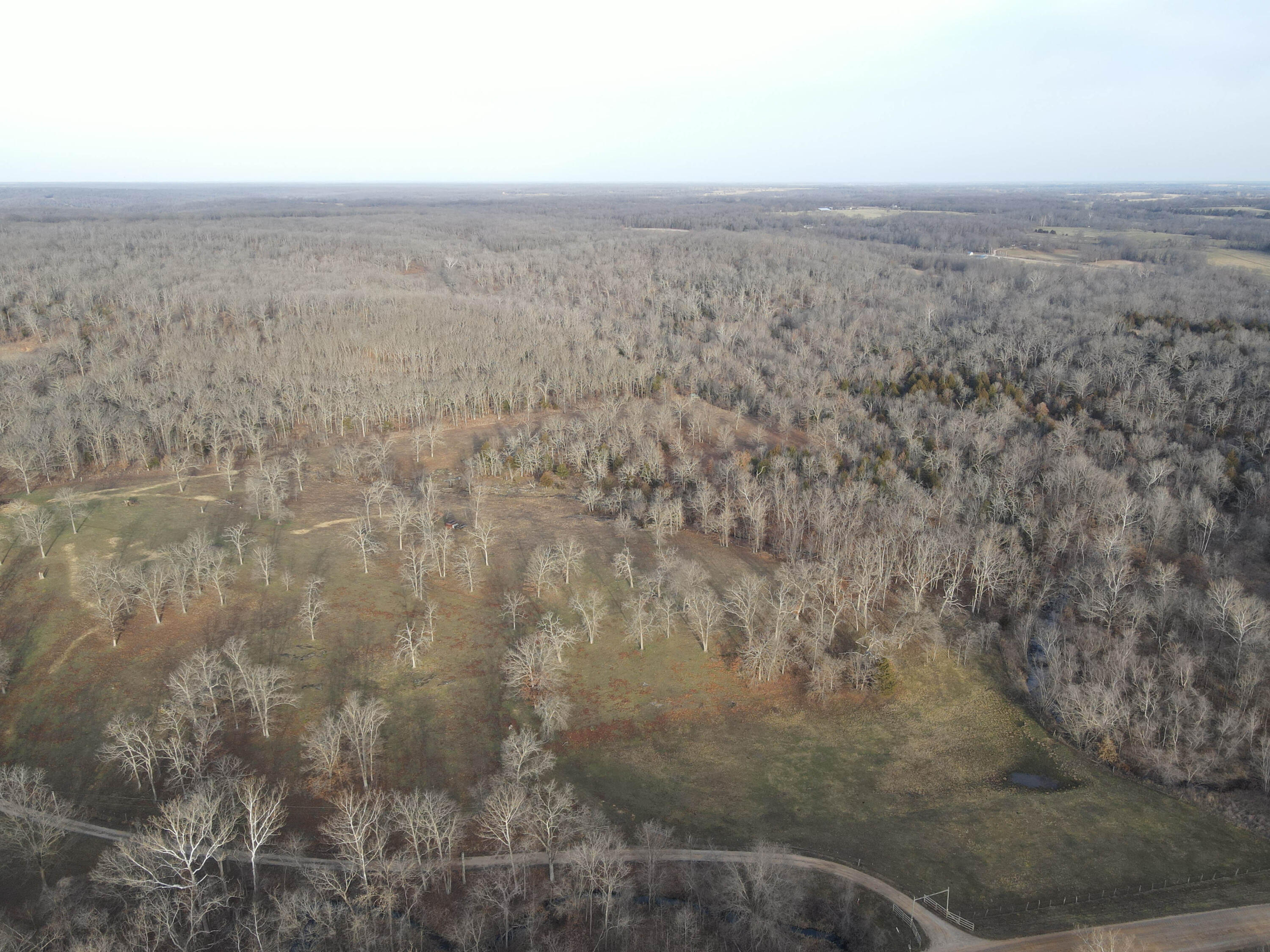 Photo 46 - Land for sale – 000 NE 184 Pvt Road  Osceola, MO