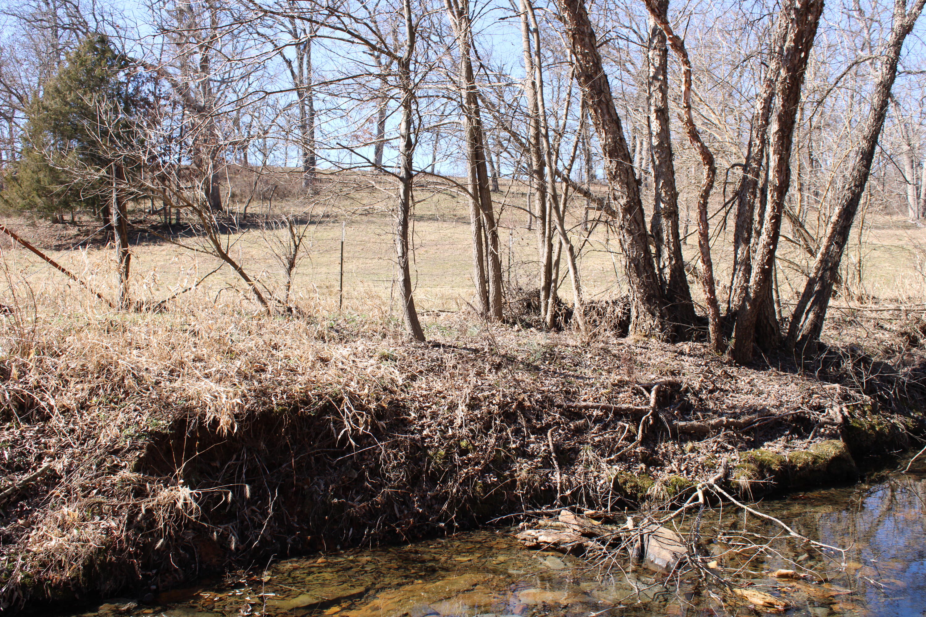 Photo 23 - Land for sale – 000 NE 184 Pvt Road  Osceola, MO
